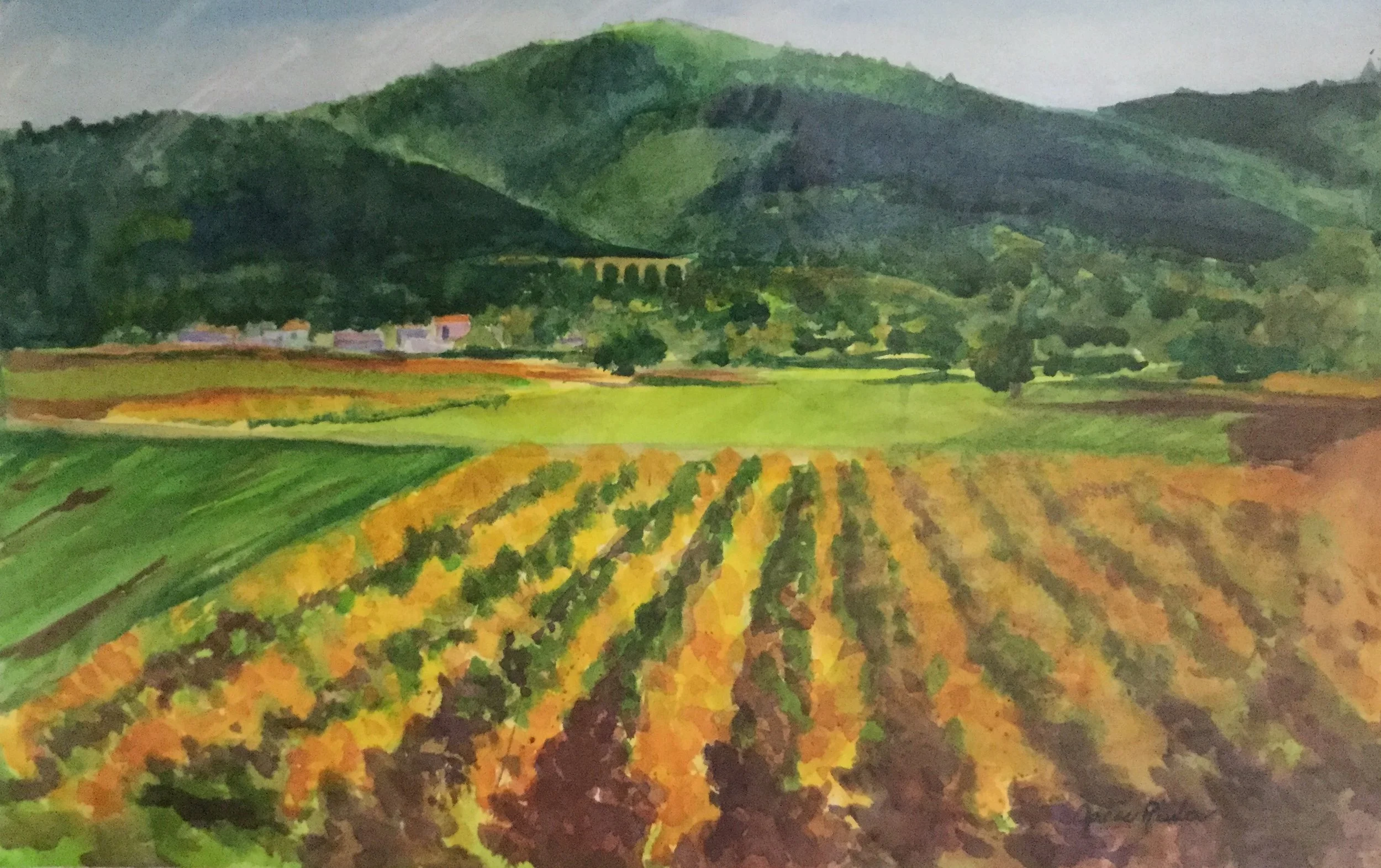 Fall Vineyards in Southern France     15" x 22"