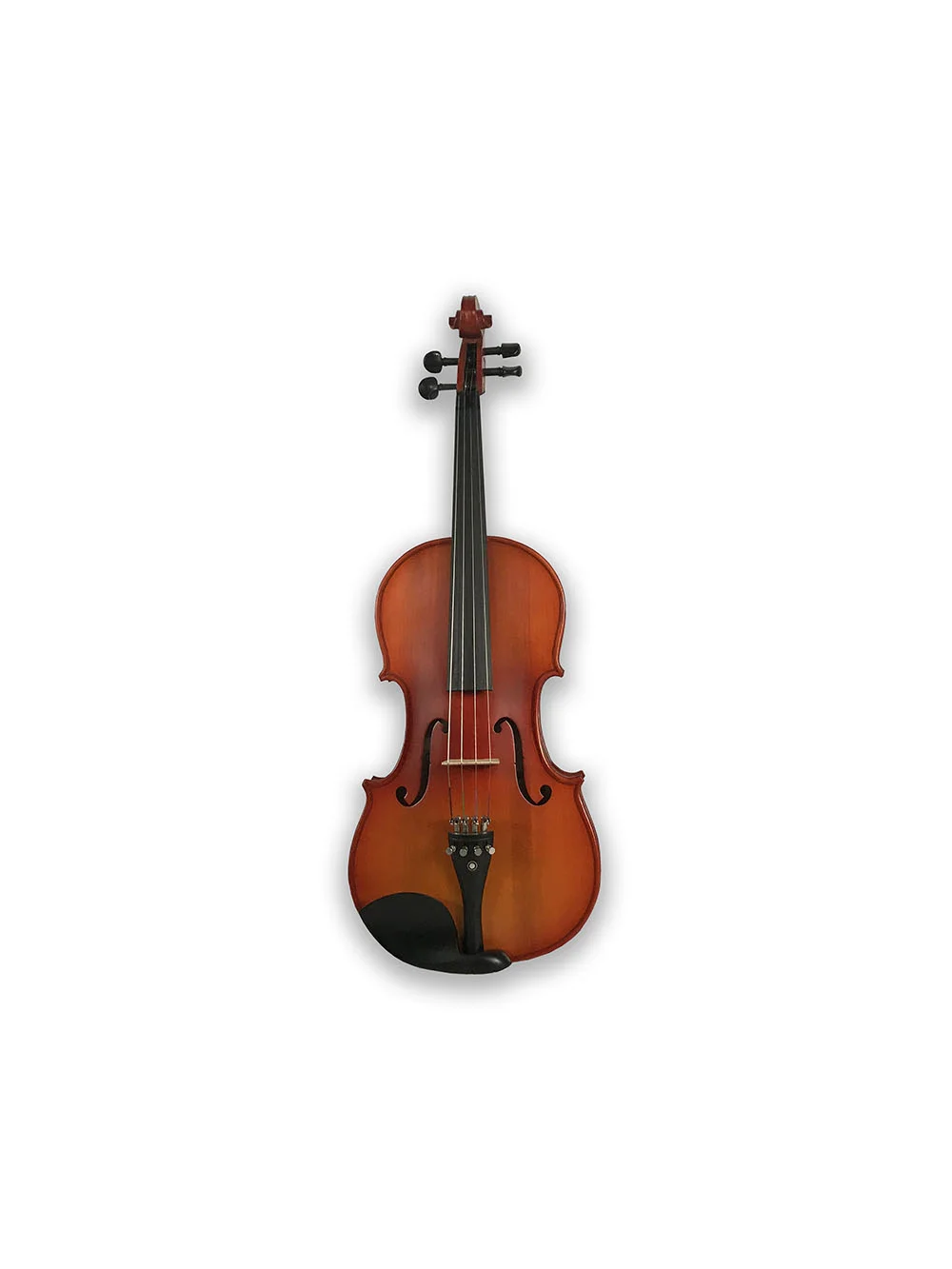 Viola