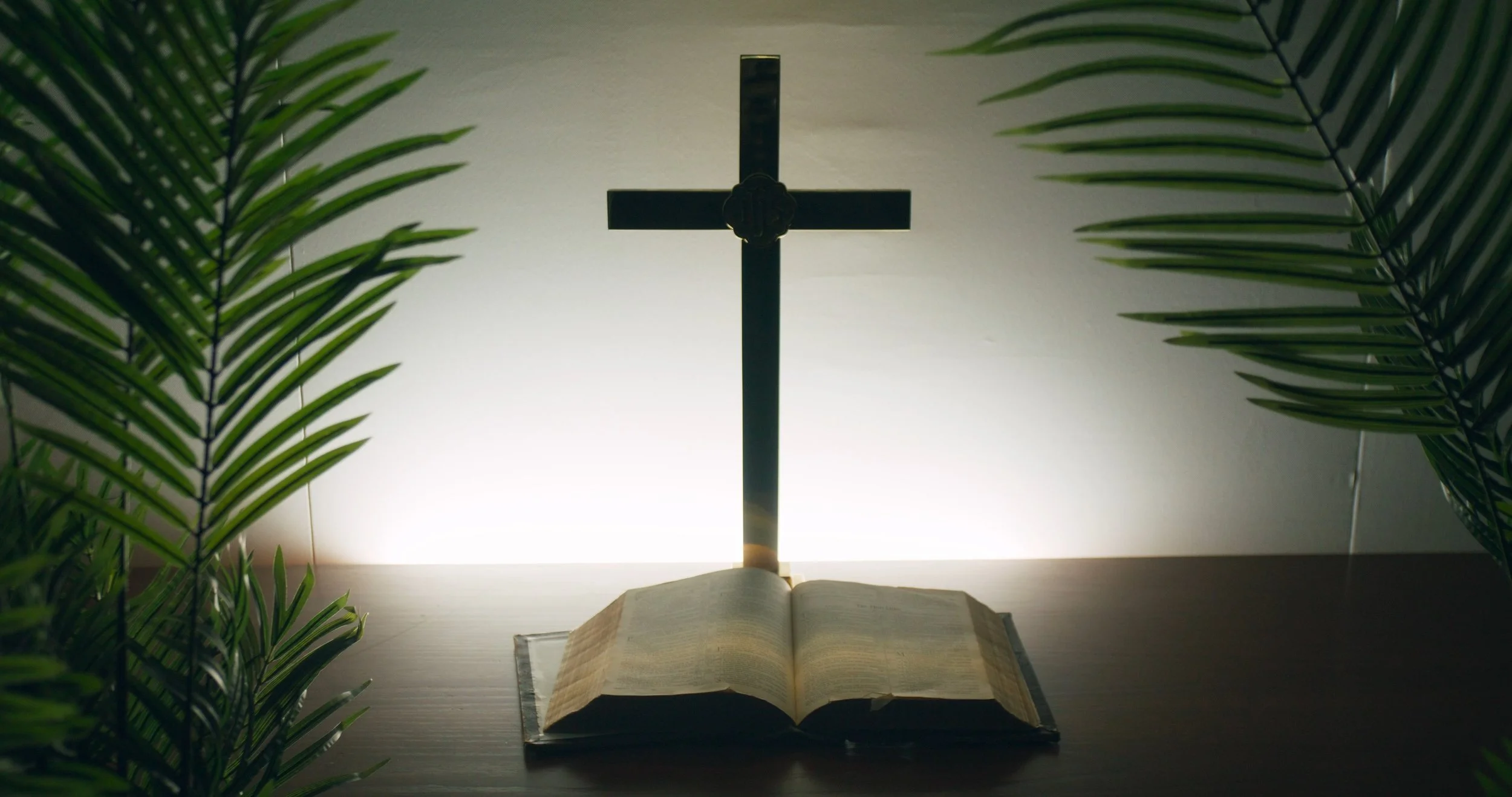 2024 Showreel Still_1.29.1.jpeg