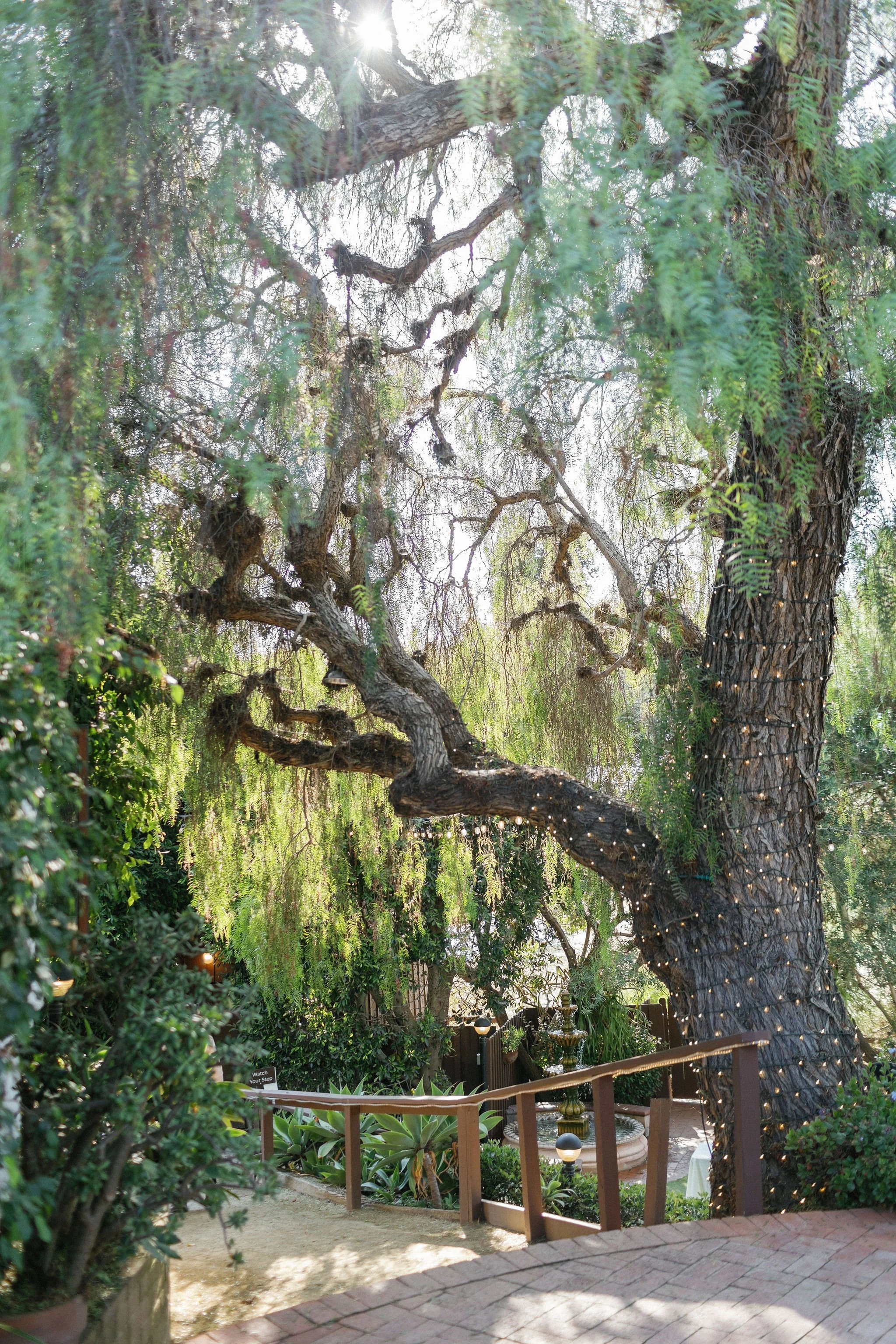 10. Herrera (GreatWoodlandPhotogrpahy) (11).jpg