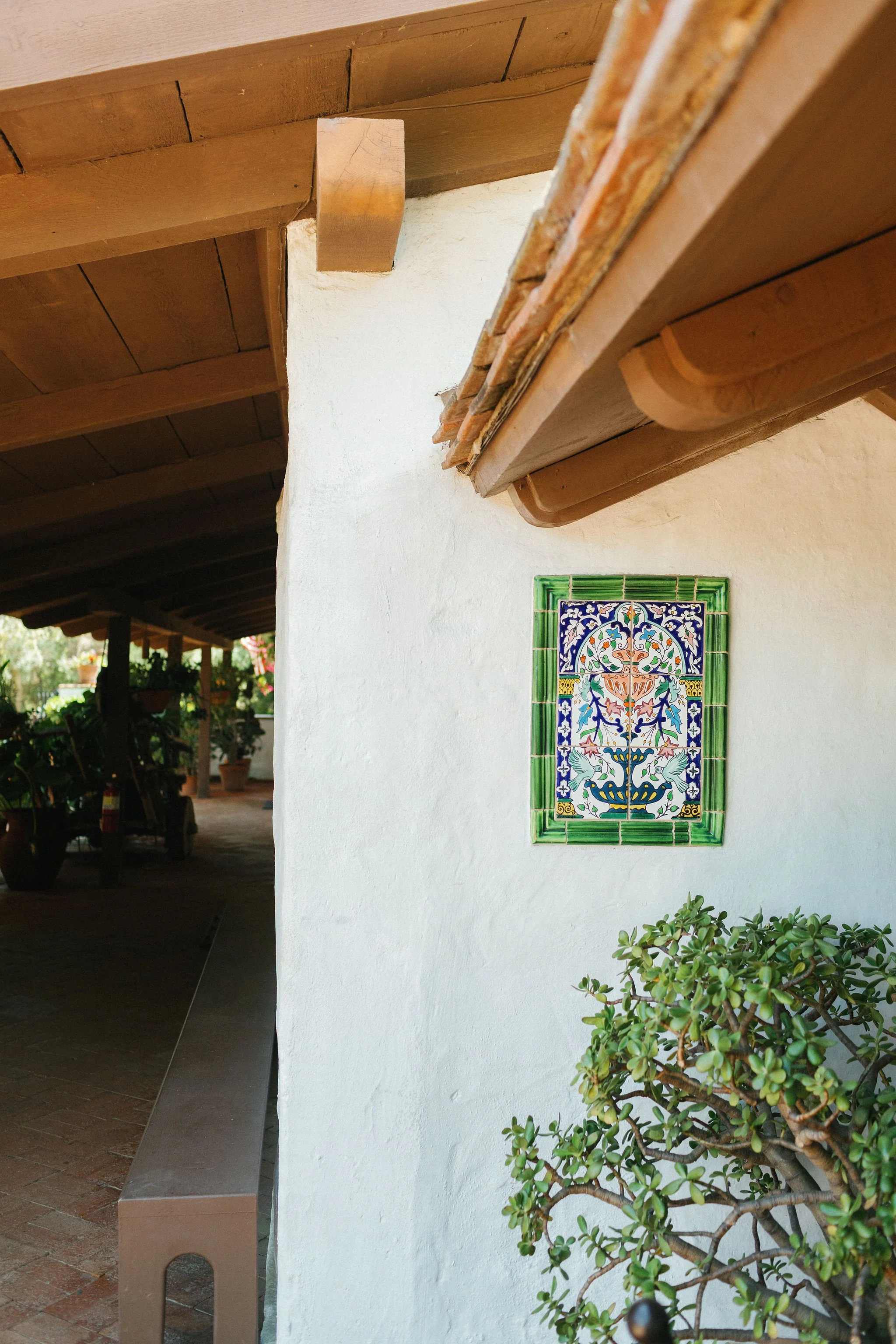 11. Herrera (GreatWoodlandPhotogrpahy) (1).jpg