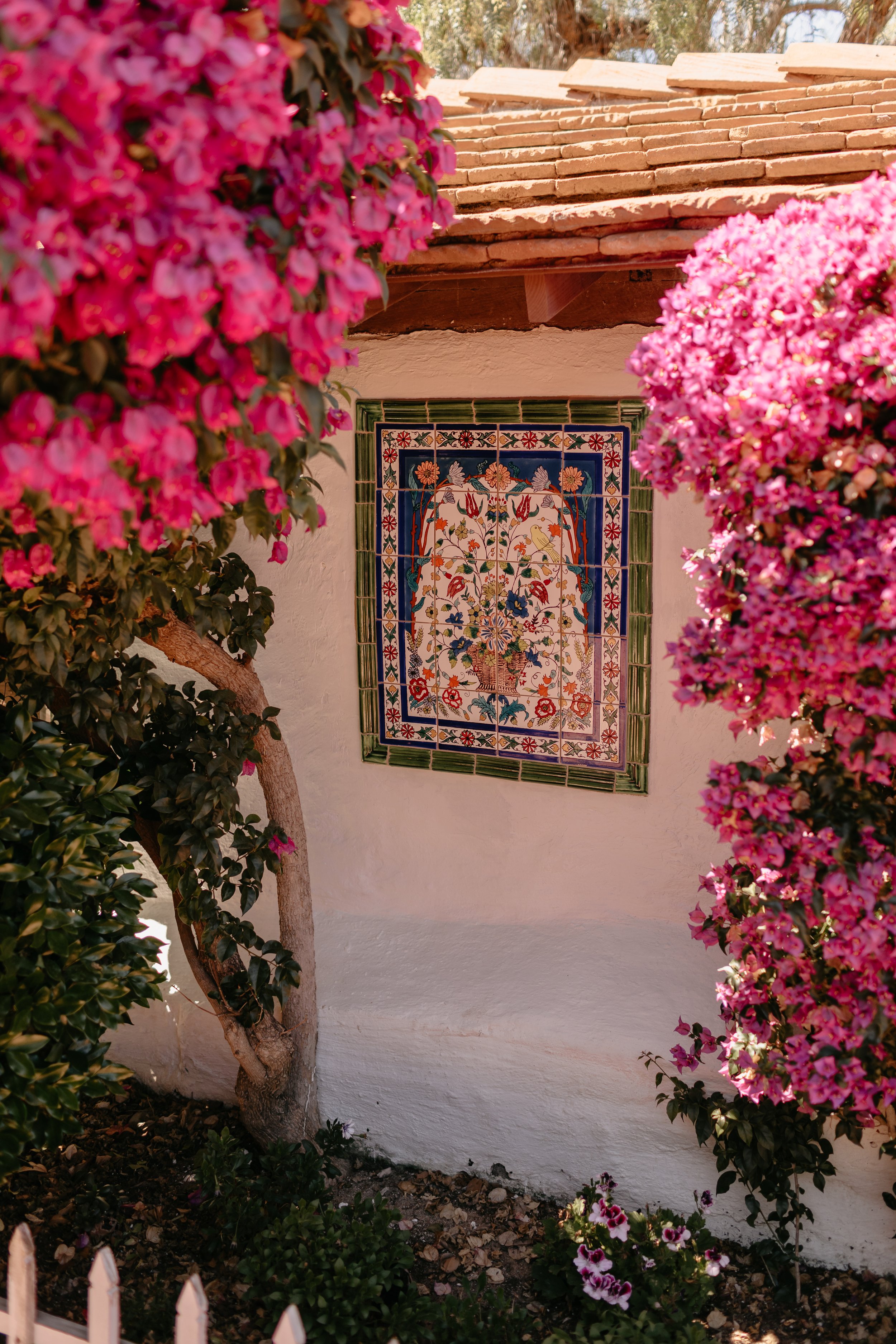 10. DiPietro (MarisaMcbride) (22).jpg