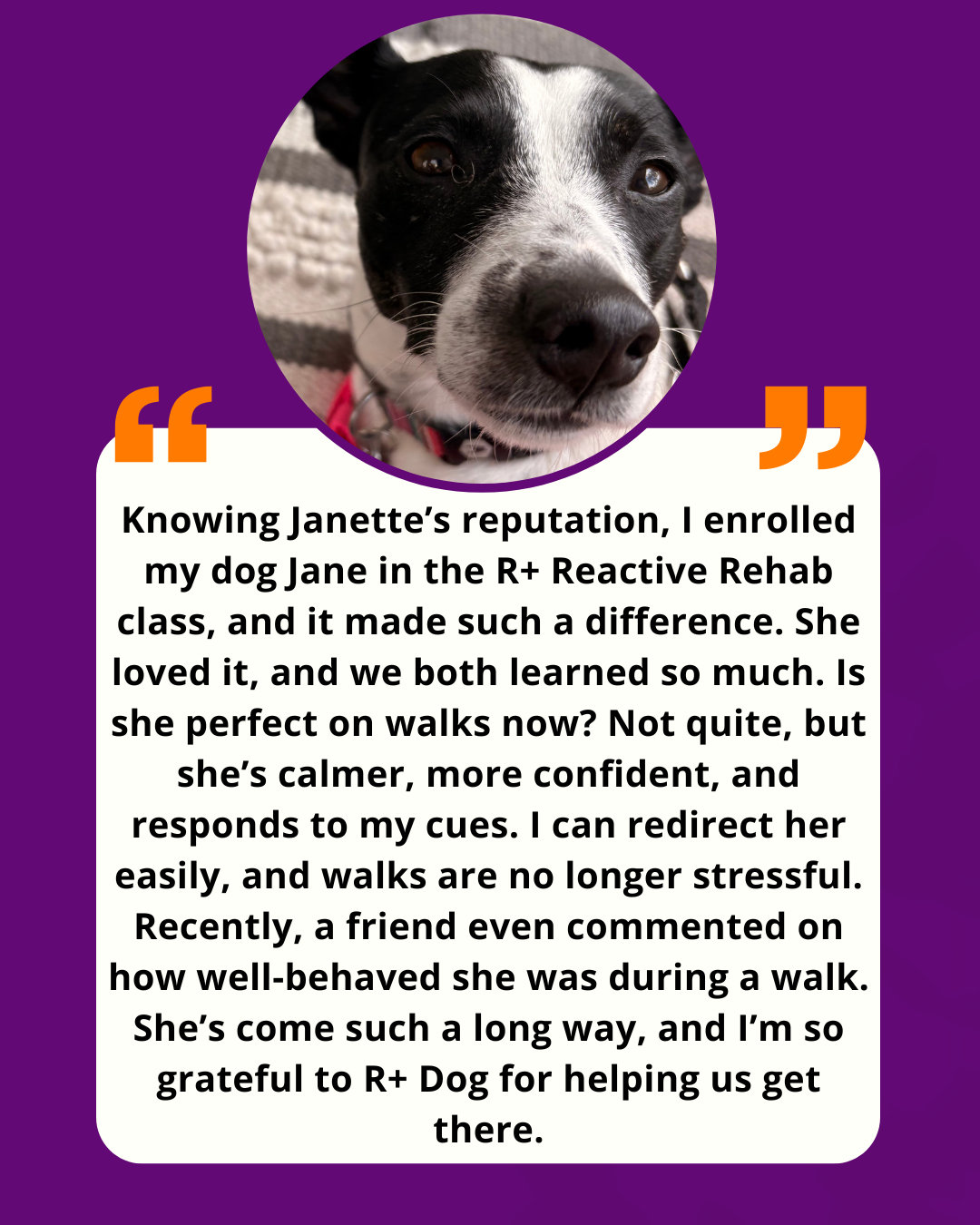 R+ Dog Website Testimonial Template.png