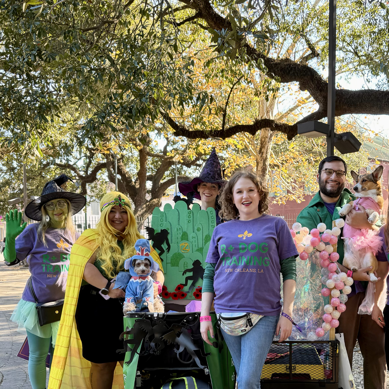  R+ Dog at Krewe of Barkus 