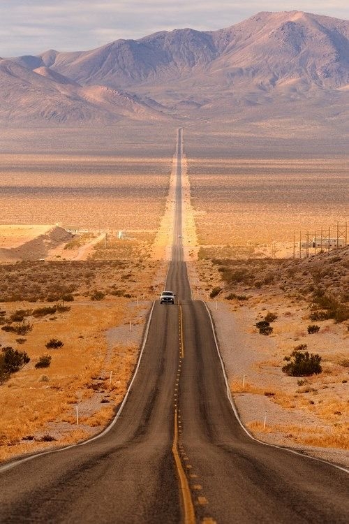desertroad.jpg