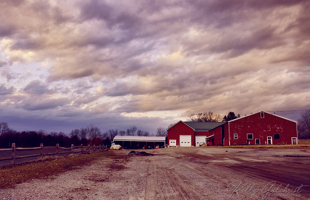 Down on the Farm