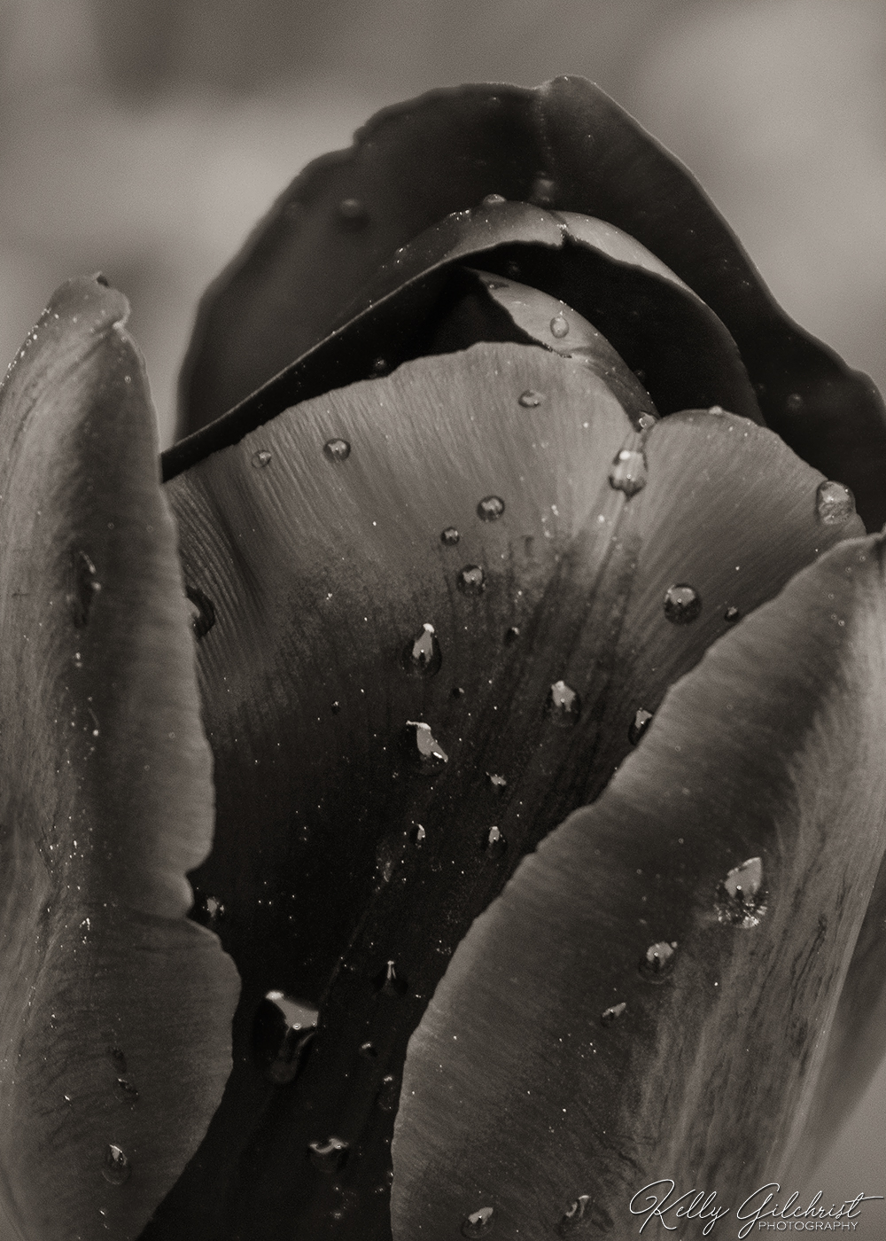 After the Rain 2