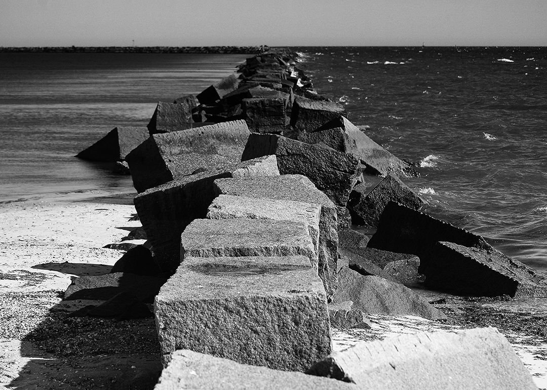 DSC_3469 copy - straightened.jpg