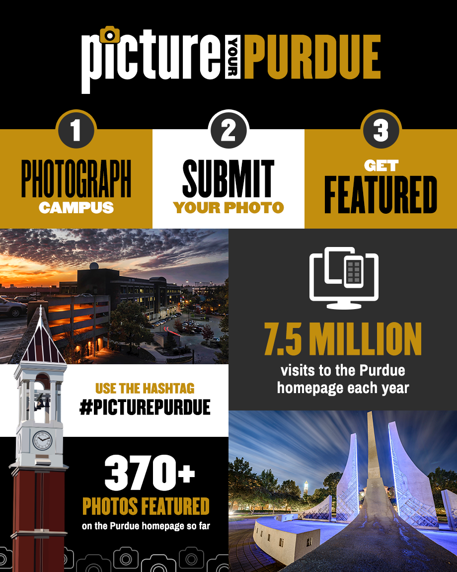 Infographic.png