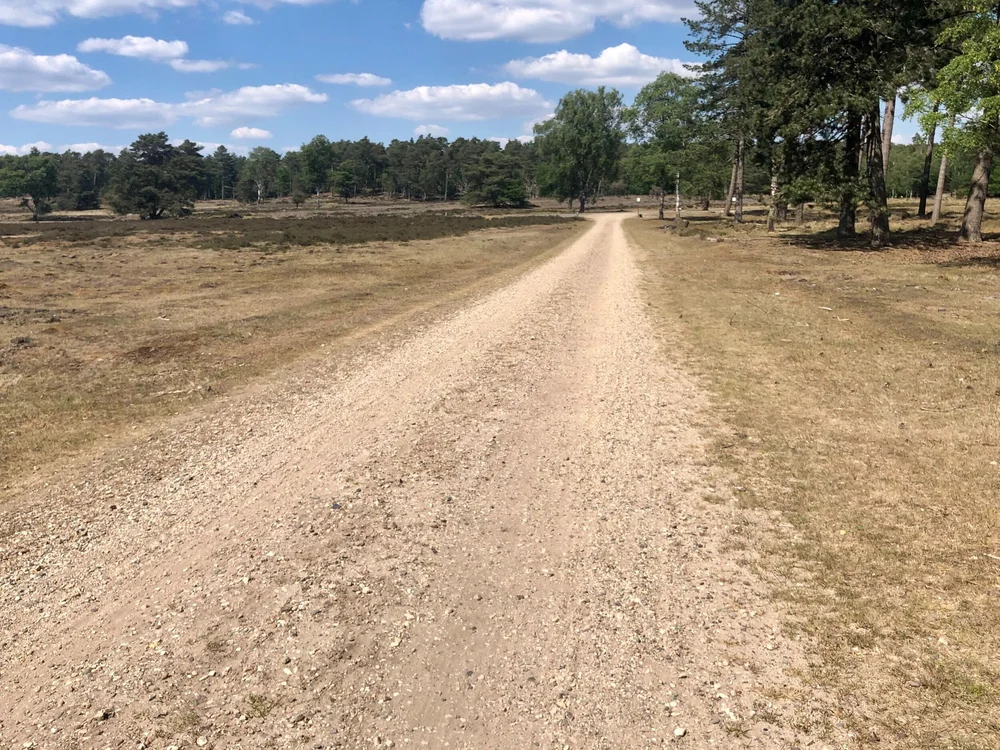 Image from iOS (2).jpg