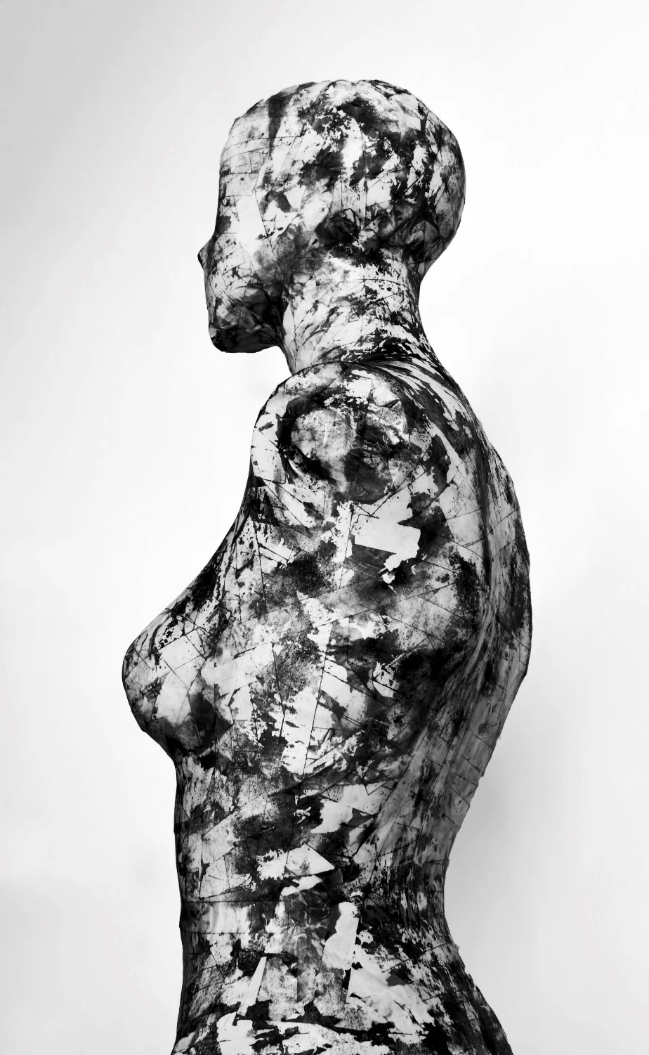 Survivor II