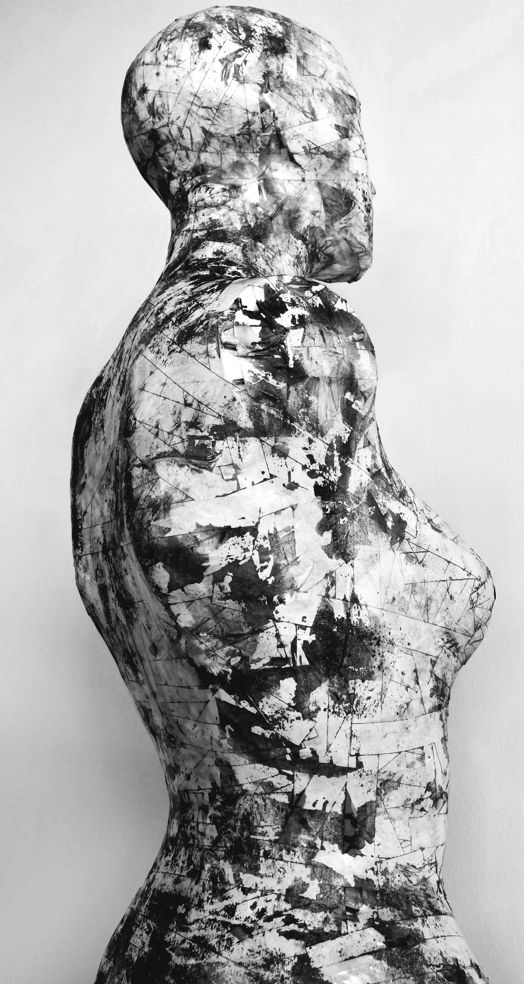 Survivor IV