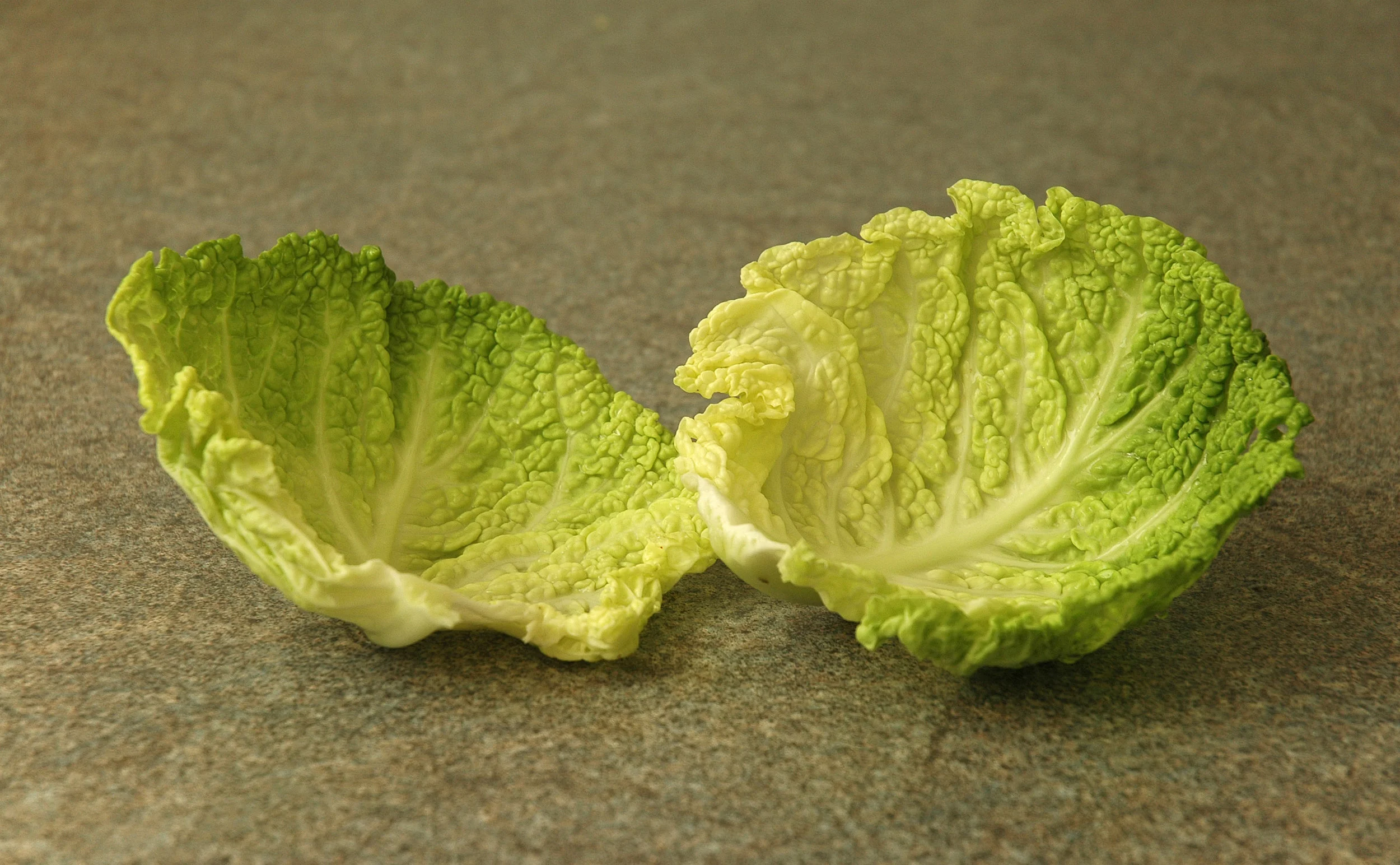 Savoy_cabbage_leaves.jpg