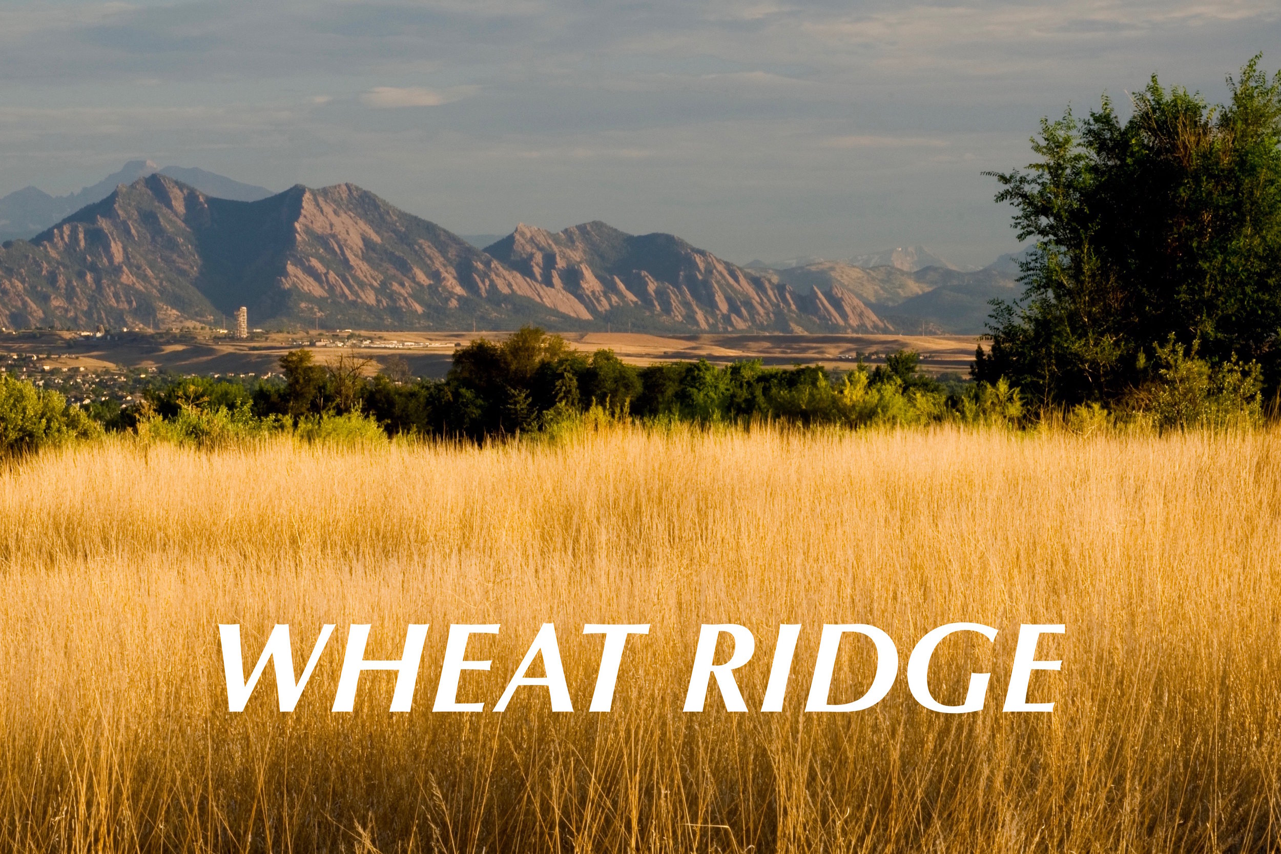 Wheat Ridge Duplex - Just Listed