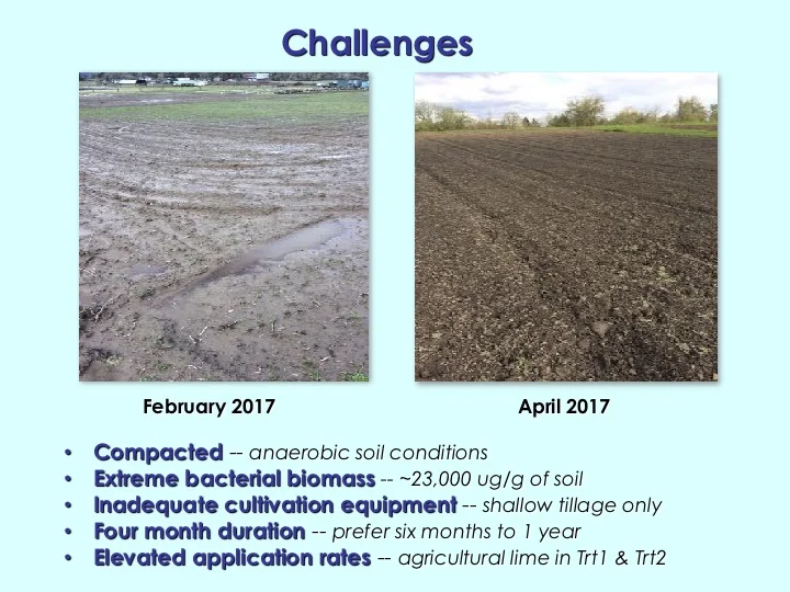 Humankind_Japanese-Indigo-Soil-Trial_pg2.jpg