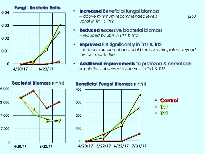 Humankind_Japanese-Indigo-Soil-Trial_pg4.jpg