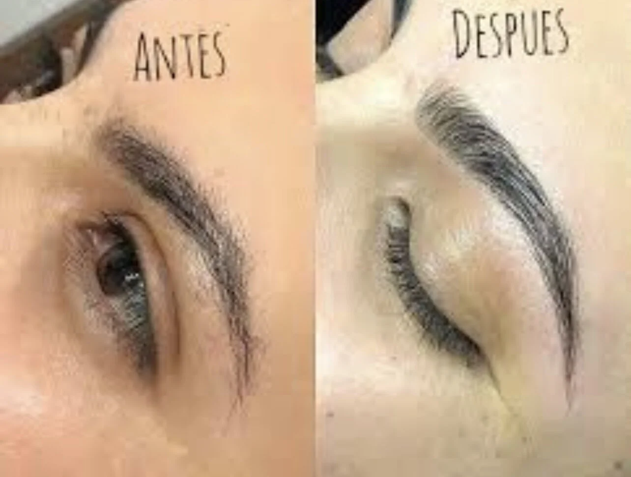 56ED545E-4AEB-4FA7-991A-2E3106B2591C