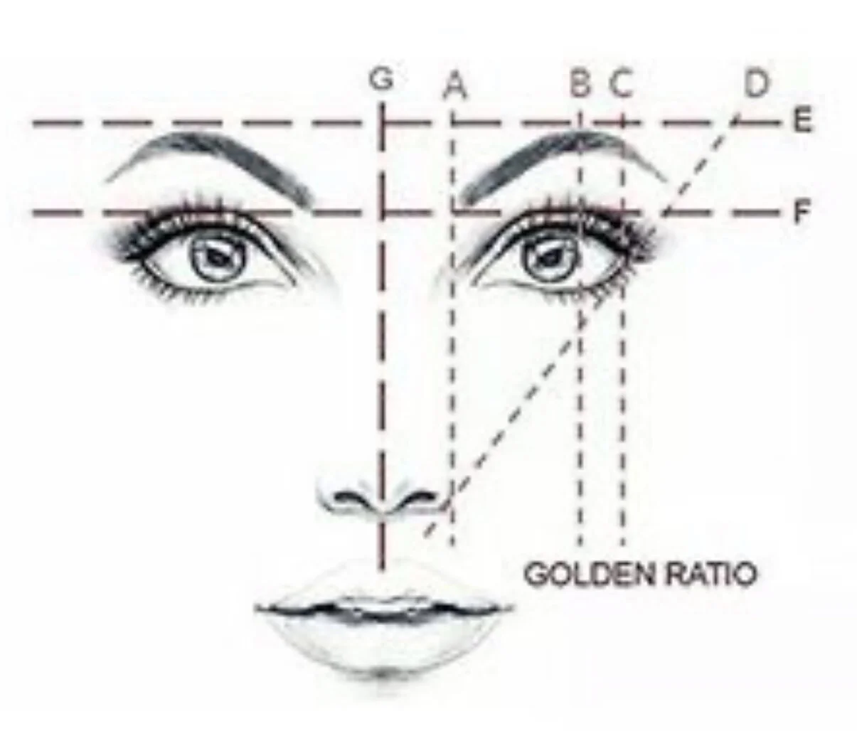 E8008AC7-4F3E-4E6E-9099-BDF45C0EB40C