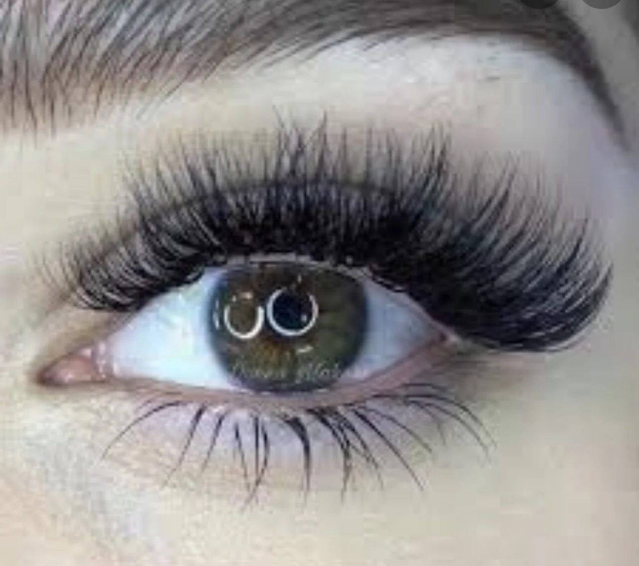 89F1DD15-6193-479A-A109-AC9BF28509CB