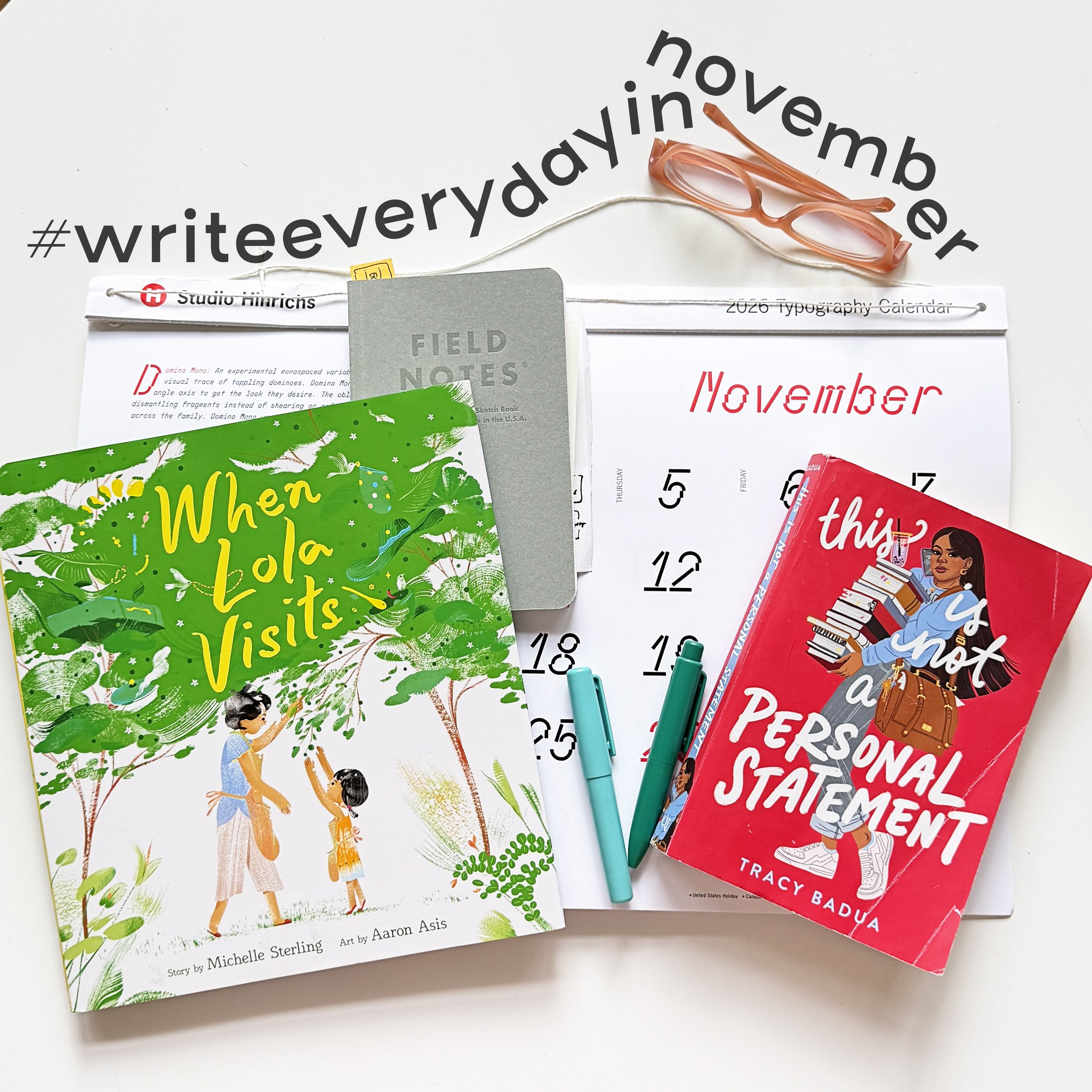 Write every day in November for picture book writers and authors, middle grade, YA literature, graphic novels, chapter books.