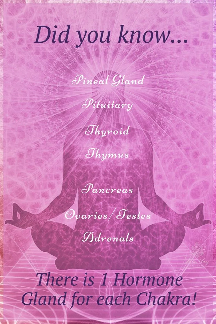 hormone chakra.jpg