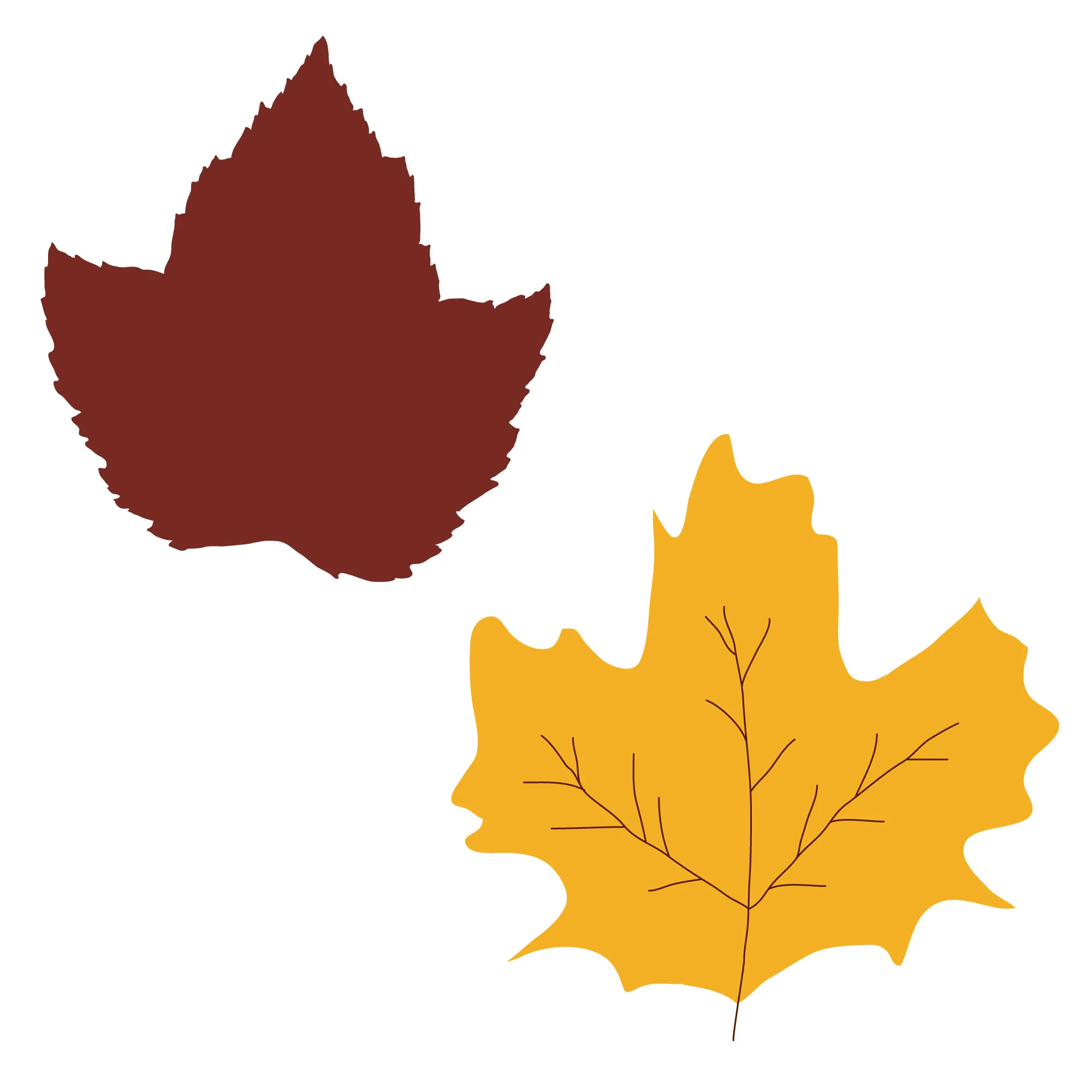 leaves.jpg