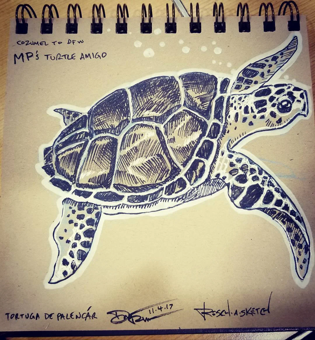 tortuga.jpg