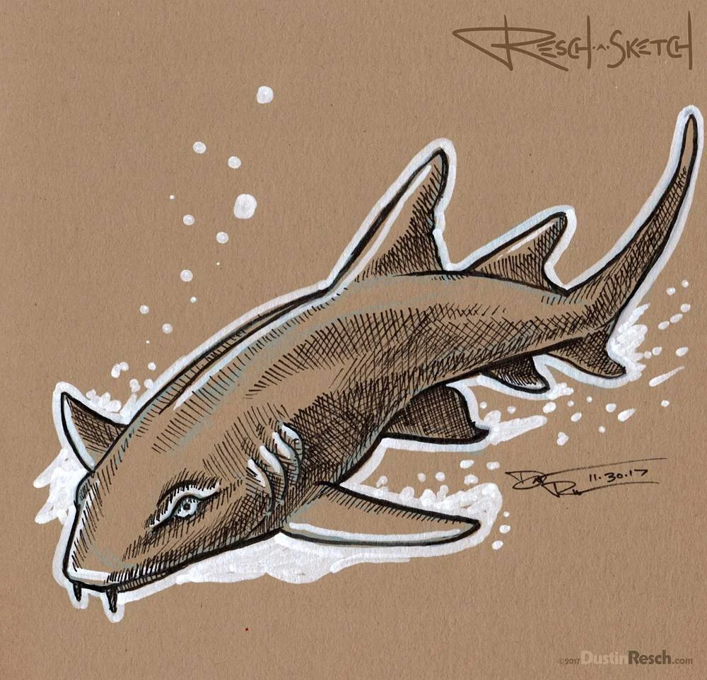 nurseshark.jpg