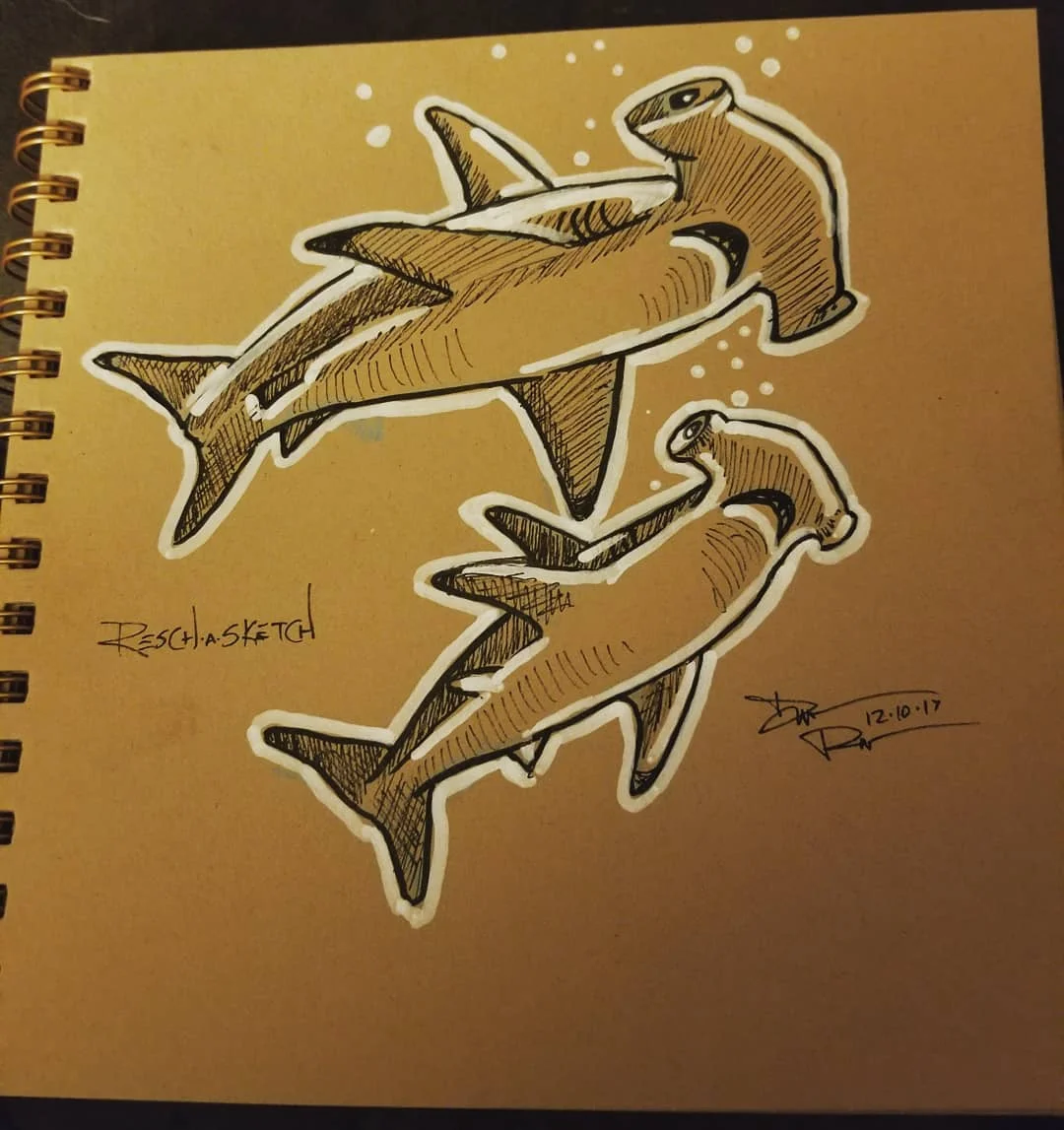 hammerheads.jpg