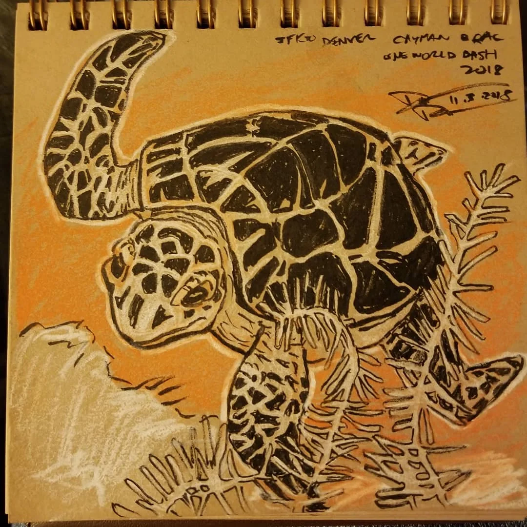 orange turtle.jpg