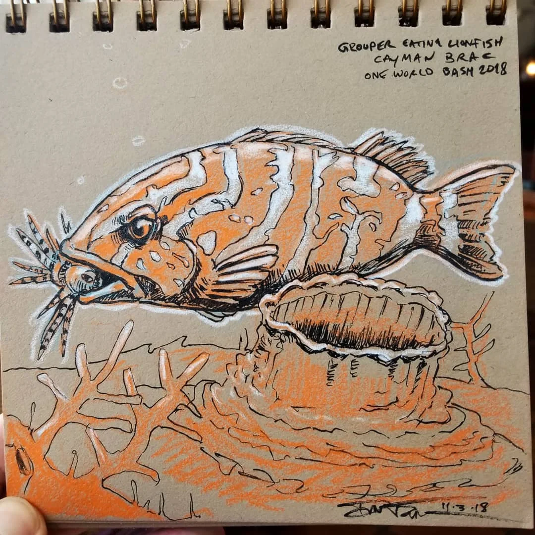 grouper.jpg