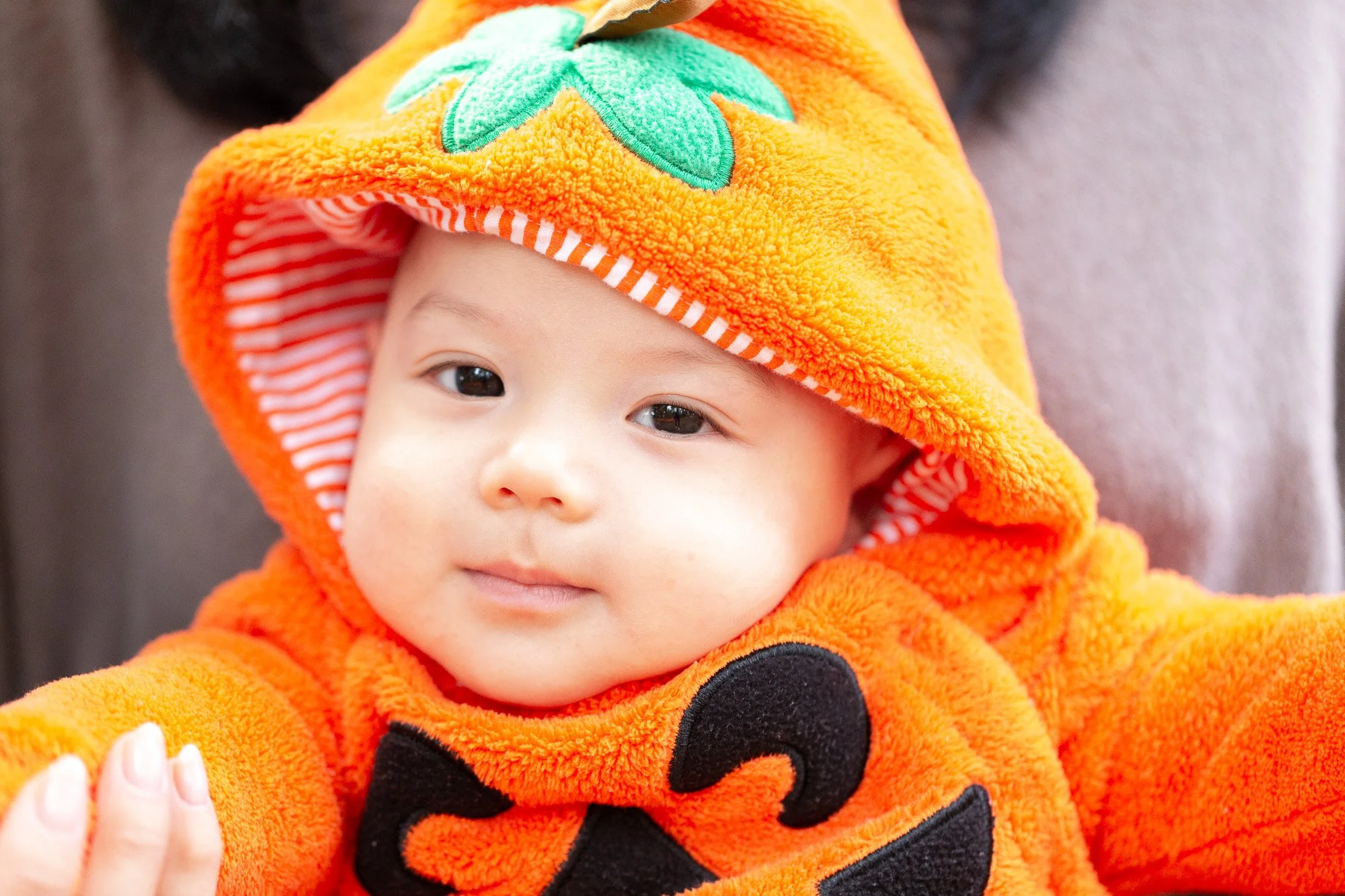Little pumpkin family photo