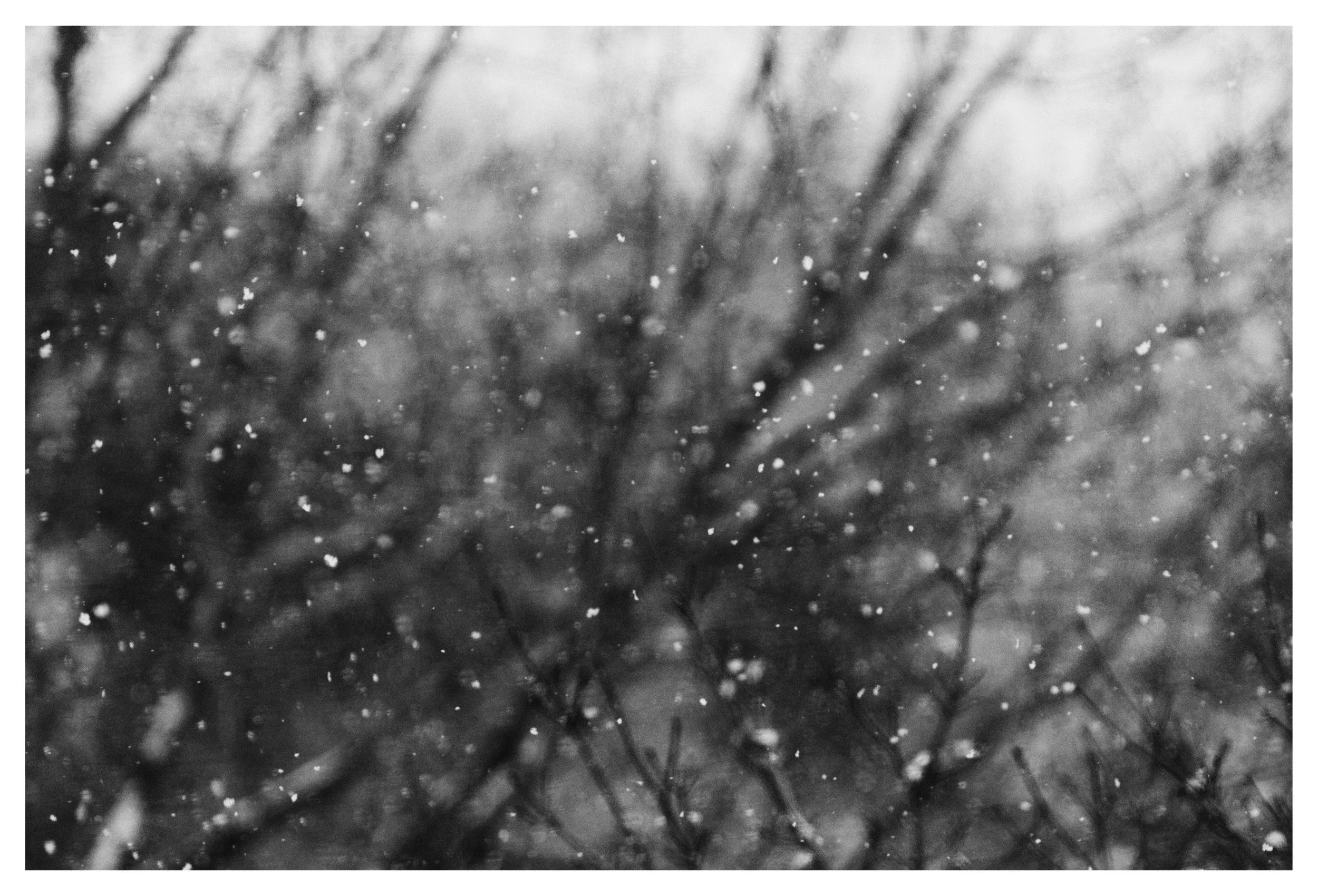 Winter Breath