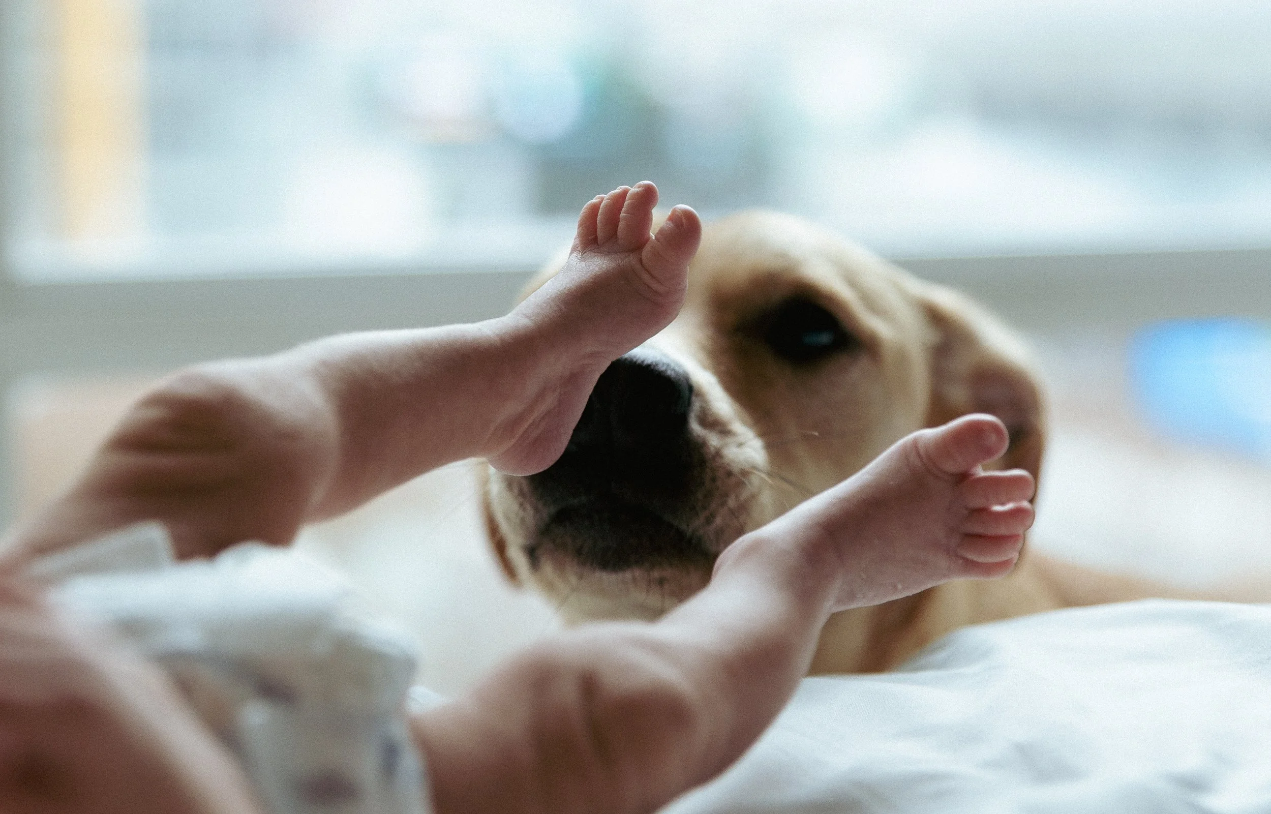 Baby's little feet