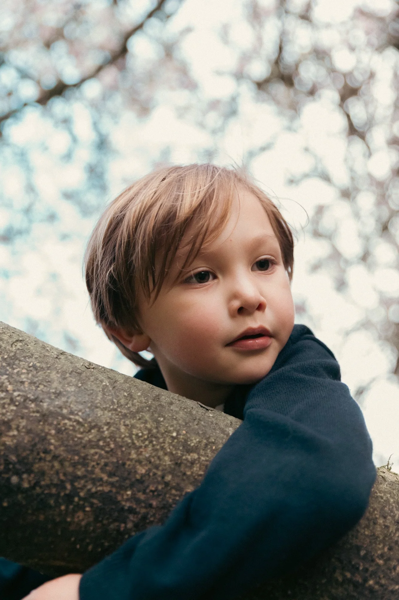 My Top 3 Tips to Get Kids Comfortable in Front of the Camera | Vancouver Family Photographer