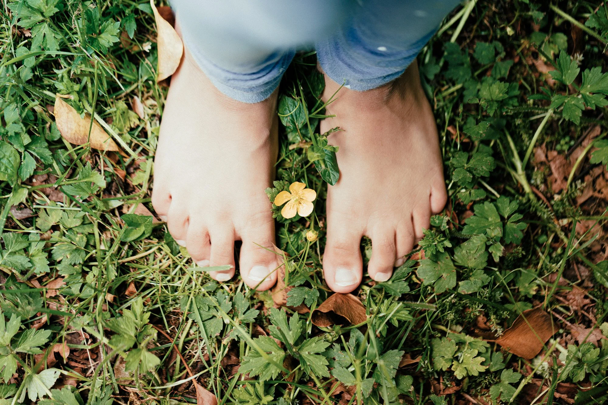 Little feet on the grass with a yellow flower.