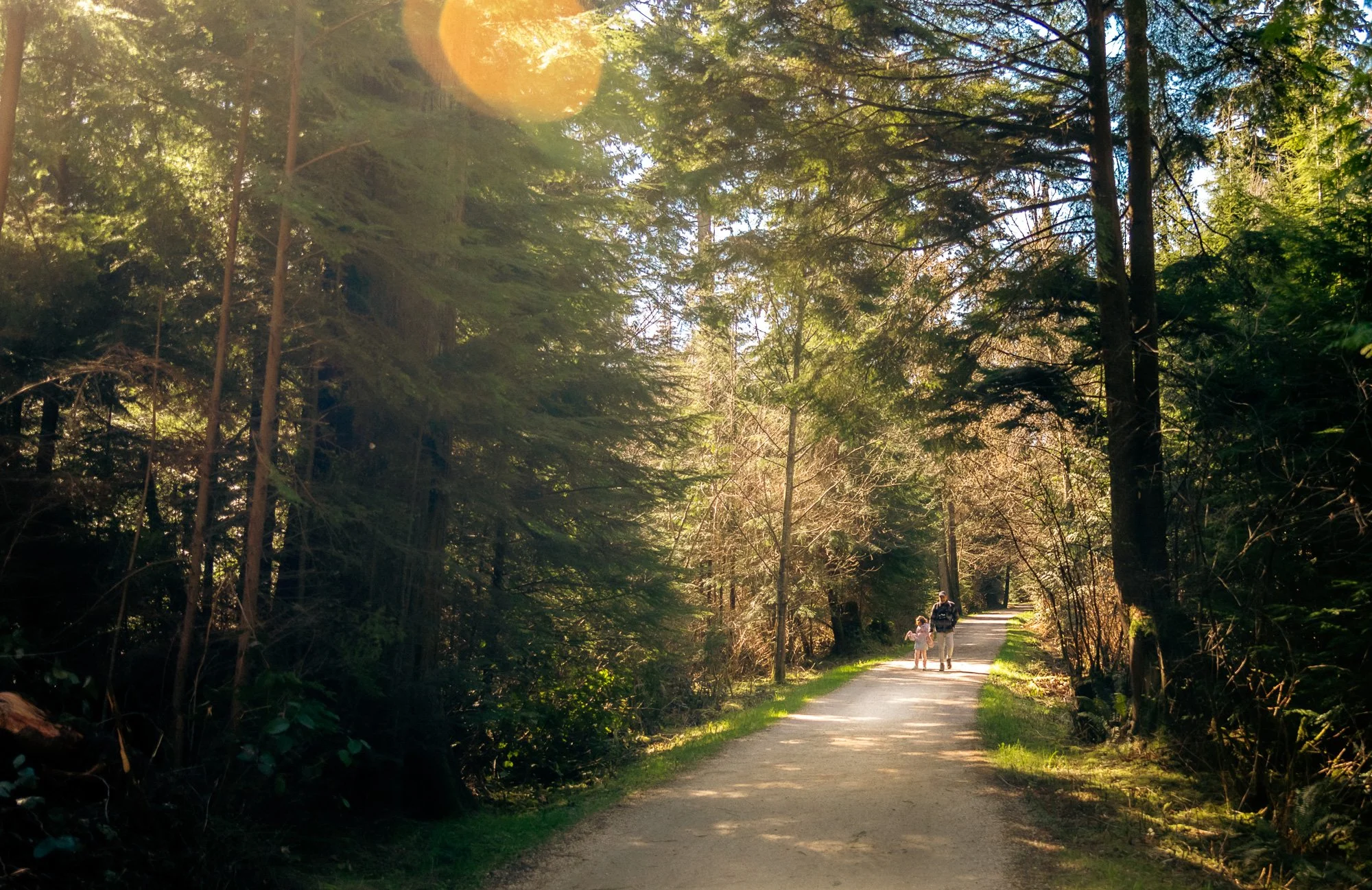 Family walking a quiet forest trail in Stanley Park