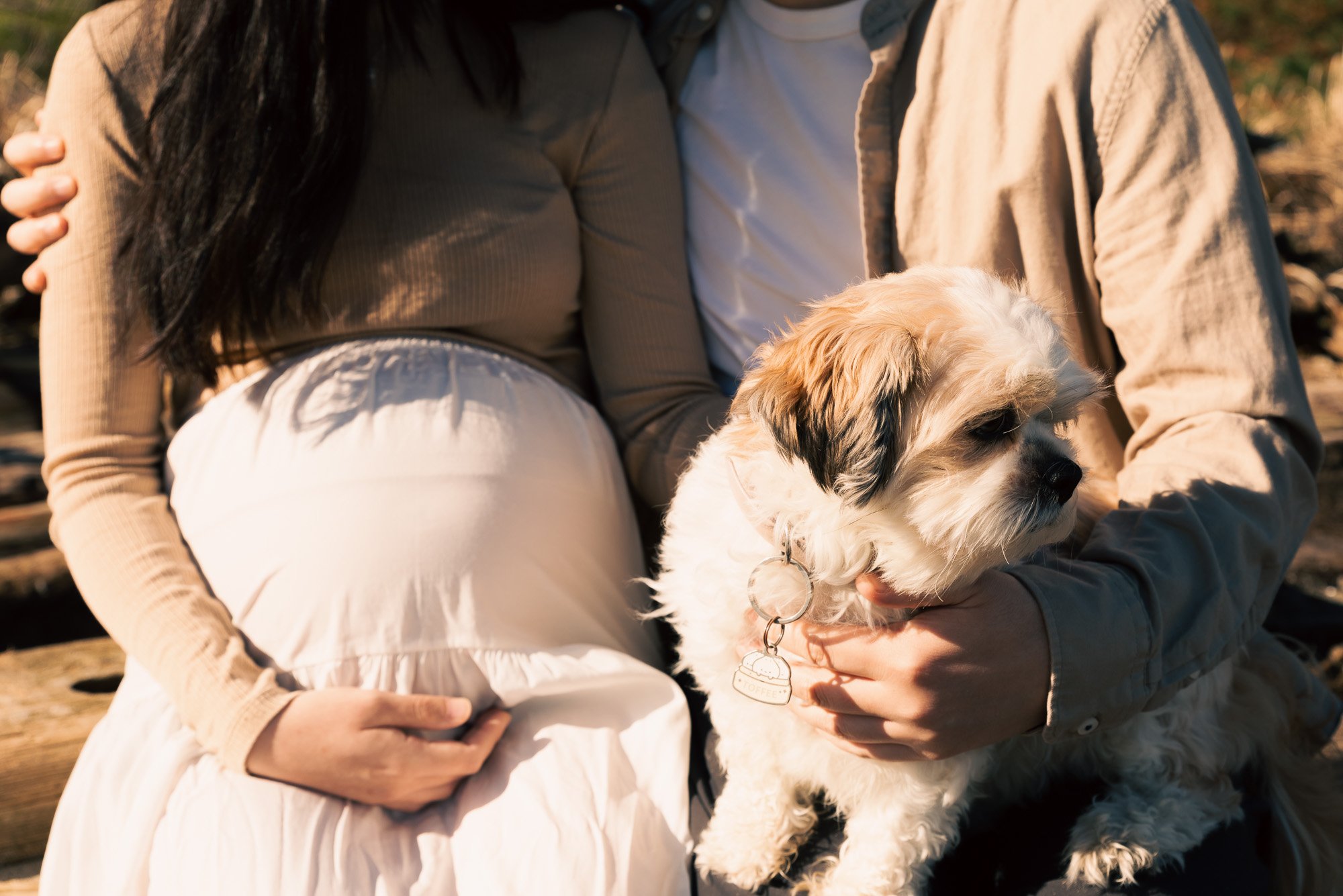 A couple sitting outdoors on a bench, with the woman resting her hand on her pregnant belly, holding a small fluffy puppy with a collar and tag reading 'Toffee'.