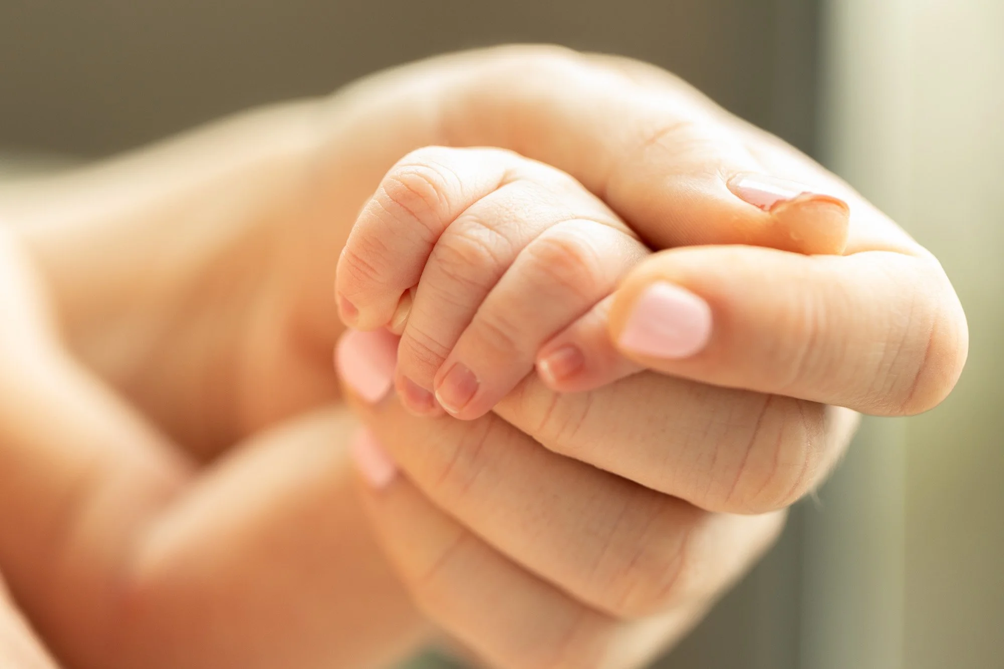 Close-up of a small baby's hand grasping an adult's finger.
