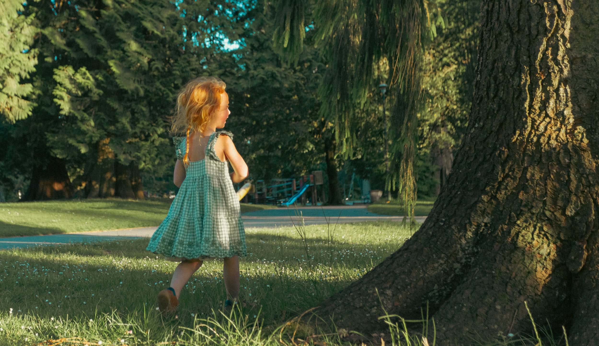 Stanley Park Photography