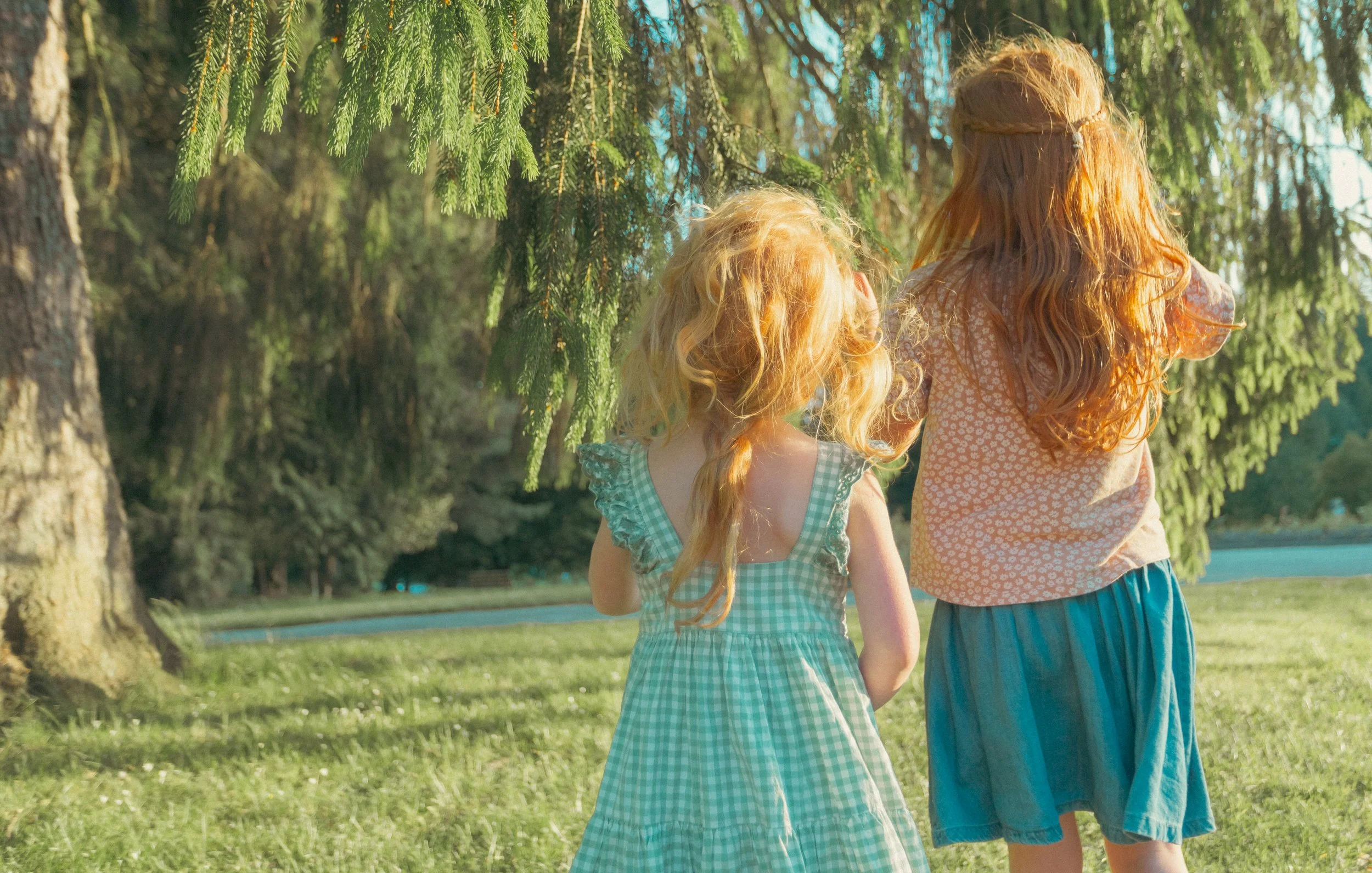 A photograph of two sisters enjoying during sunset