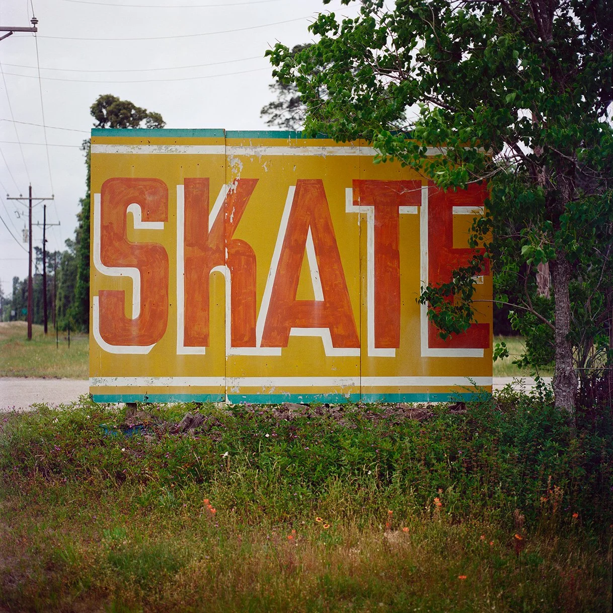 SKATE.jpg