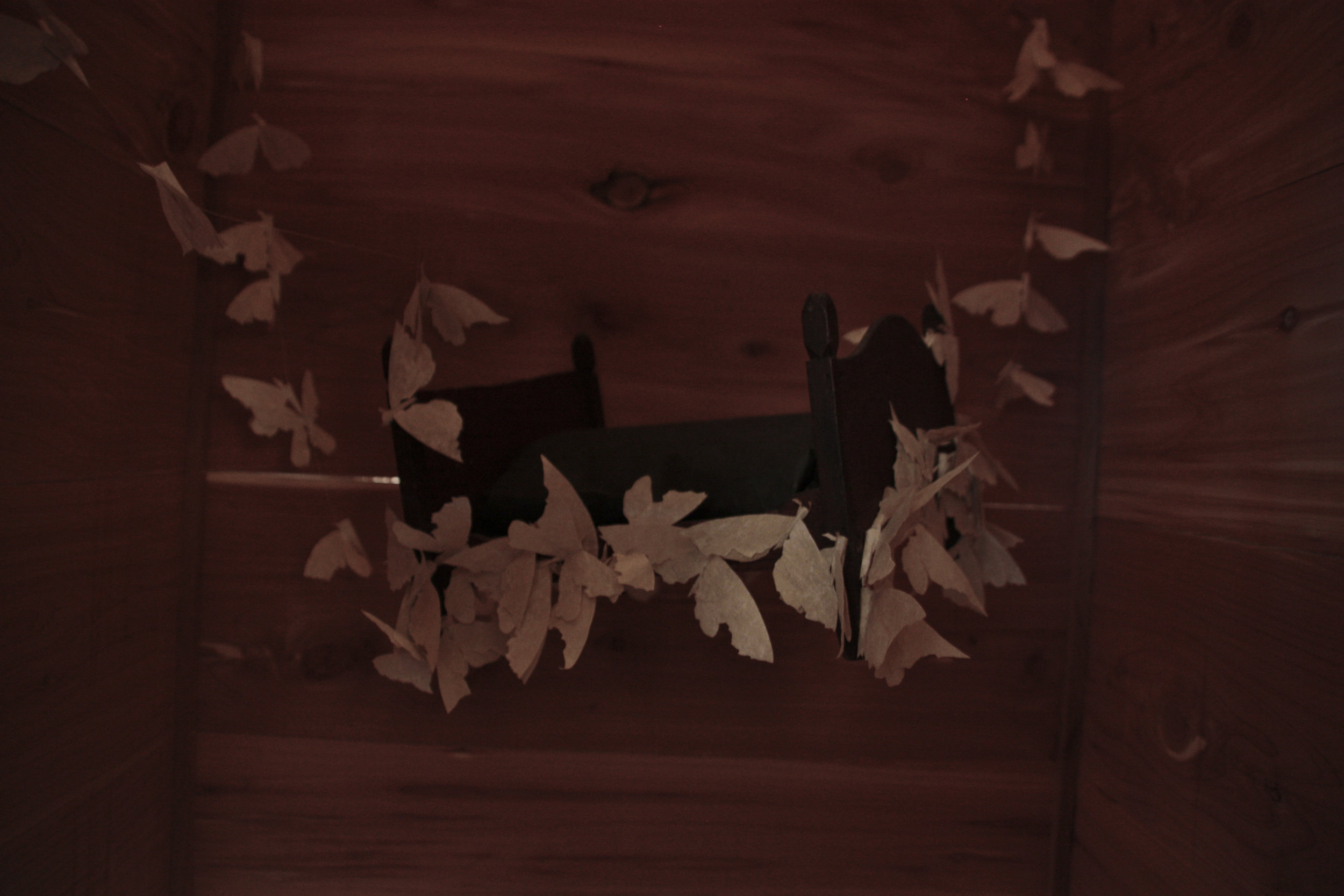    I’m silent  , 2013 interior view  handmade paper and books (abaca, hemp), cedar, mahogany, sound  Irving Arts Center 