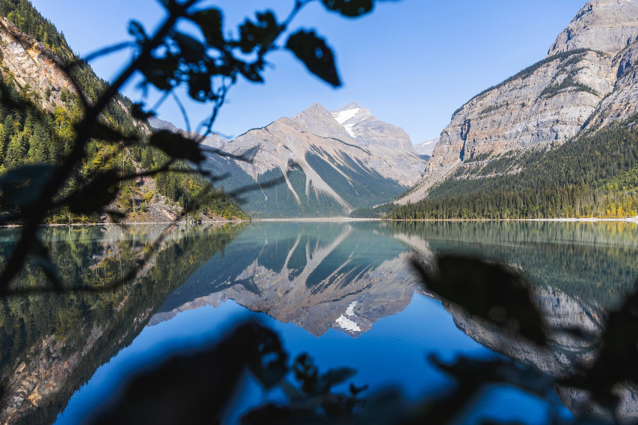 Reflections in Kinney lake