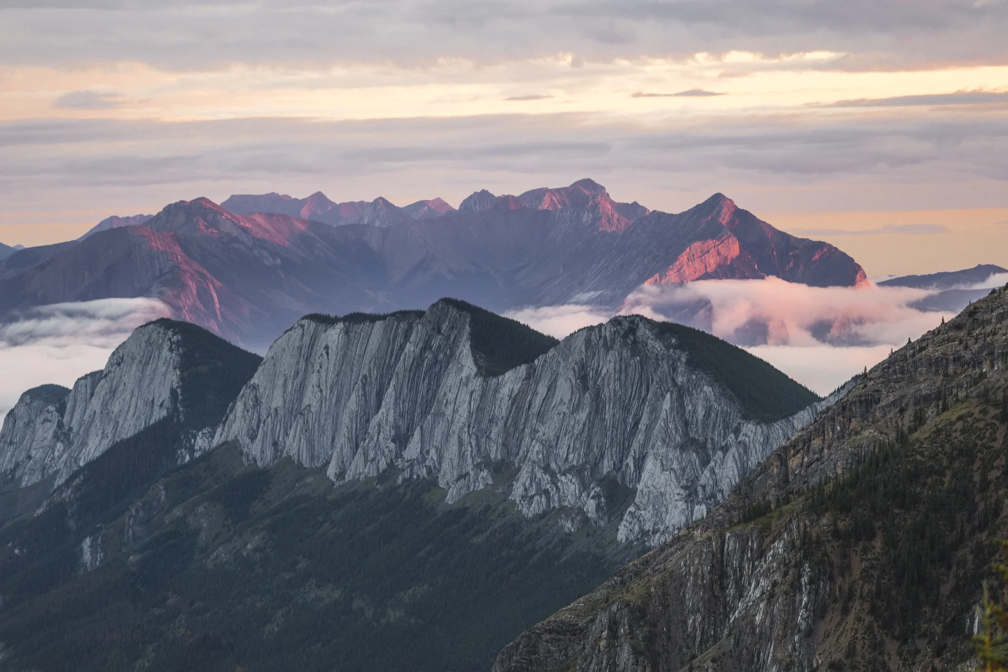 Stunning pink light is cast across the mountain peaks as we take in the view from the first initial clearing.