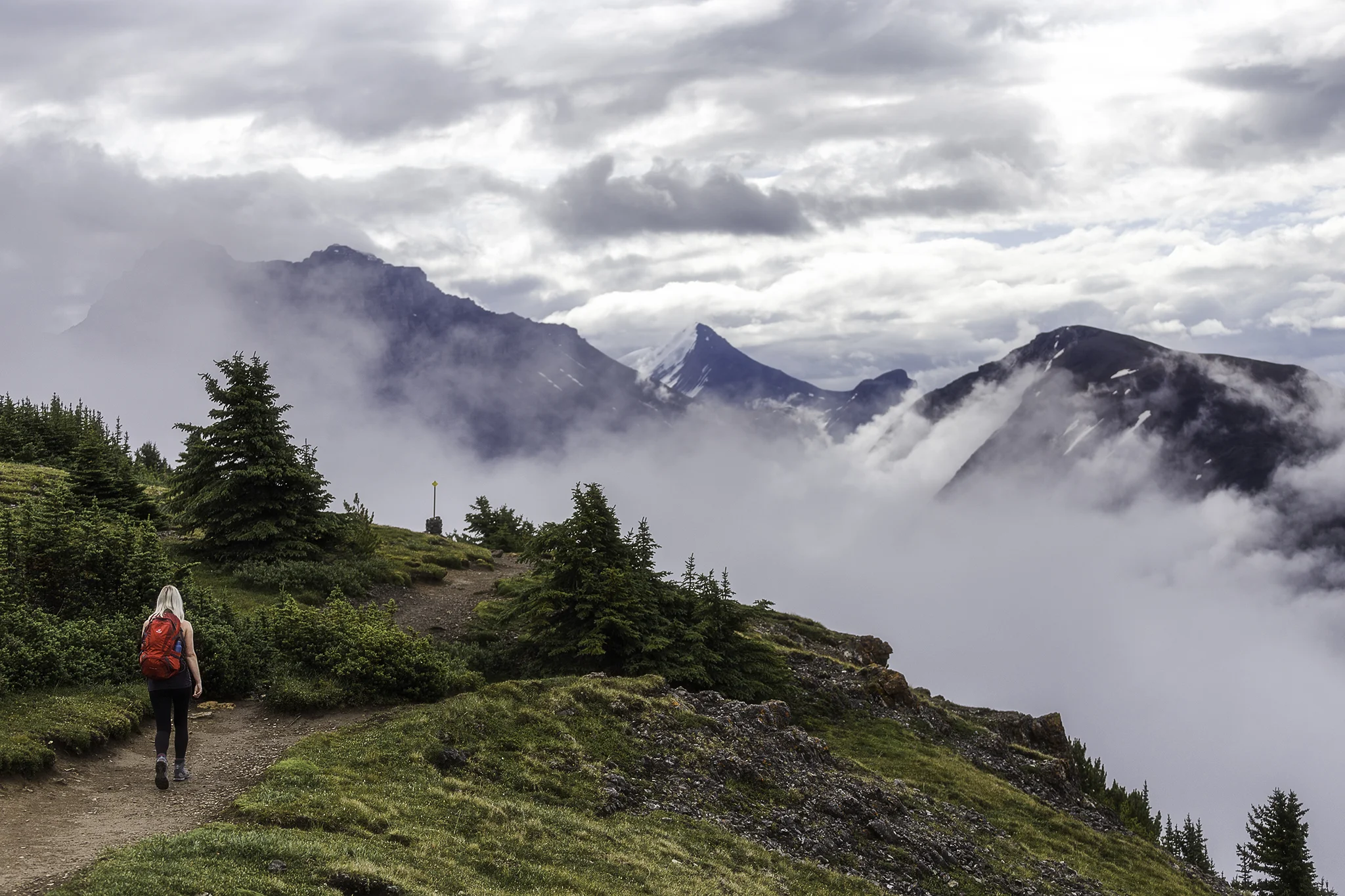 AJ walks above the clouds on the Parker Ridge Trail.