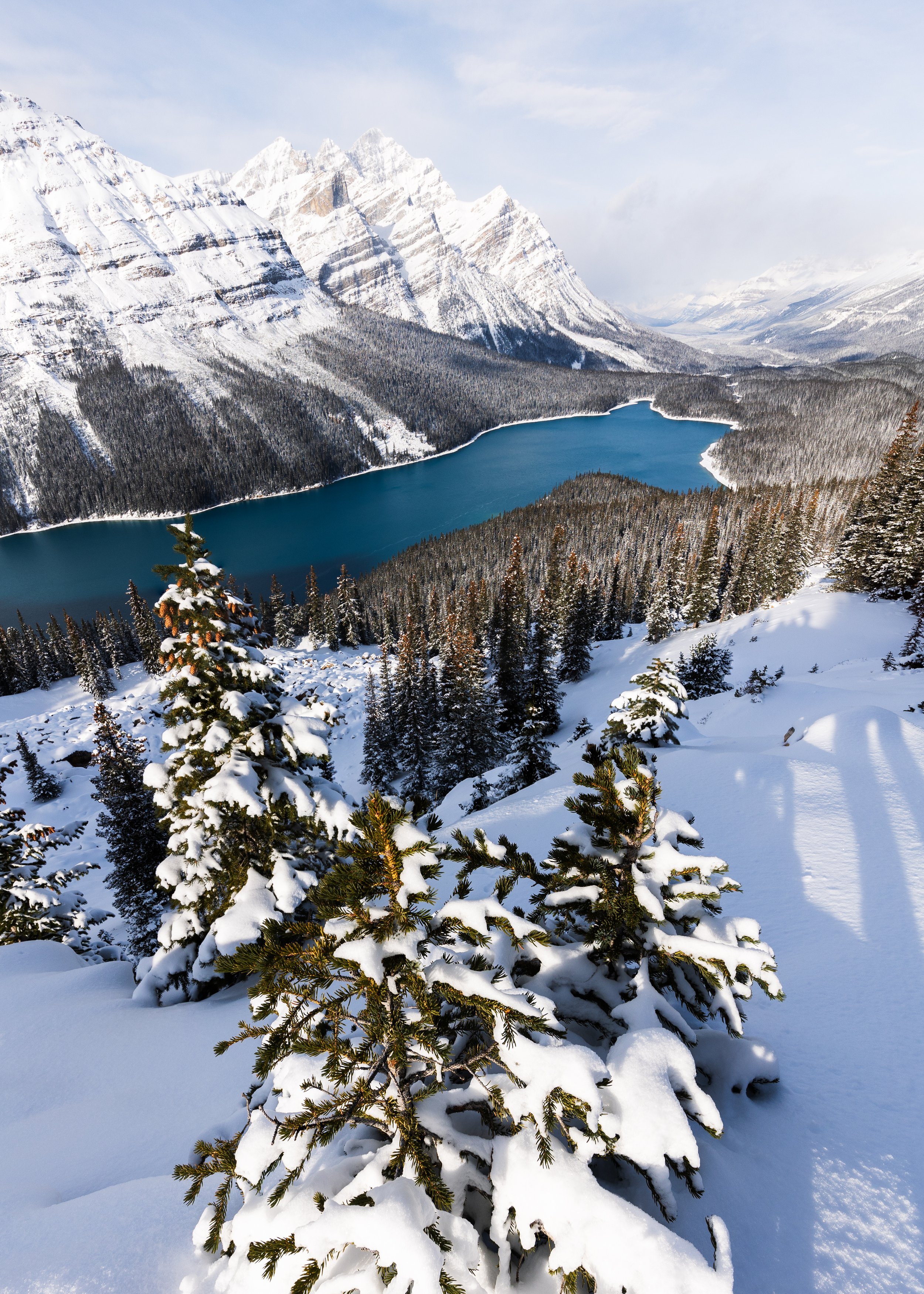 Peyto Lake Fresh Snow