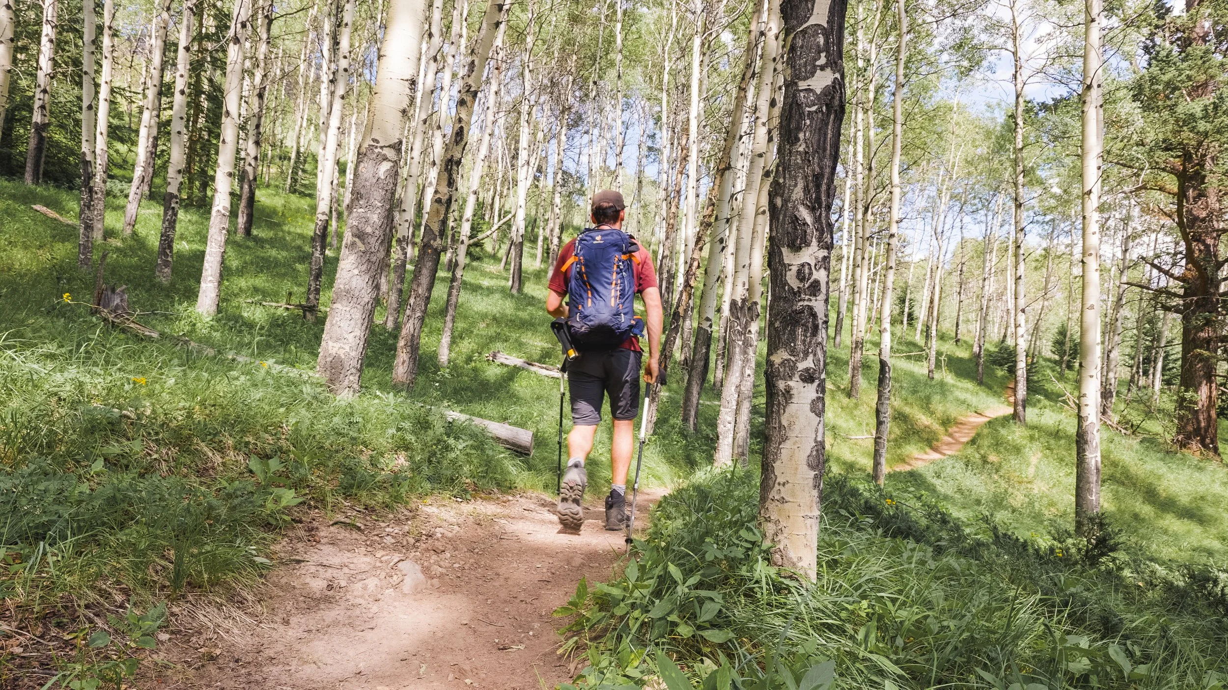 Hiking in the woods in the Cory pass loop
