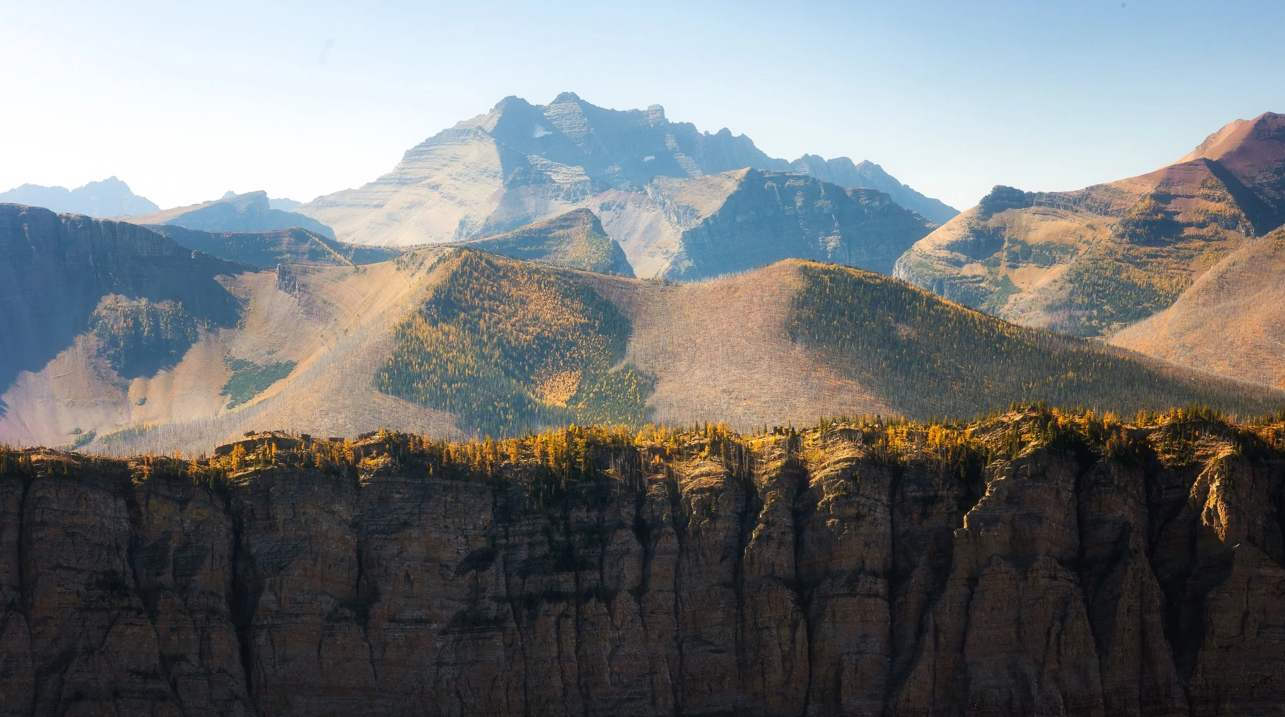 Lineham Pass Tamarack Trail