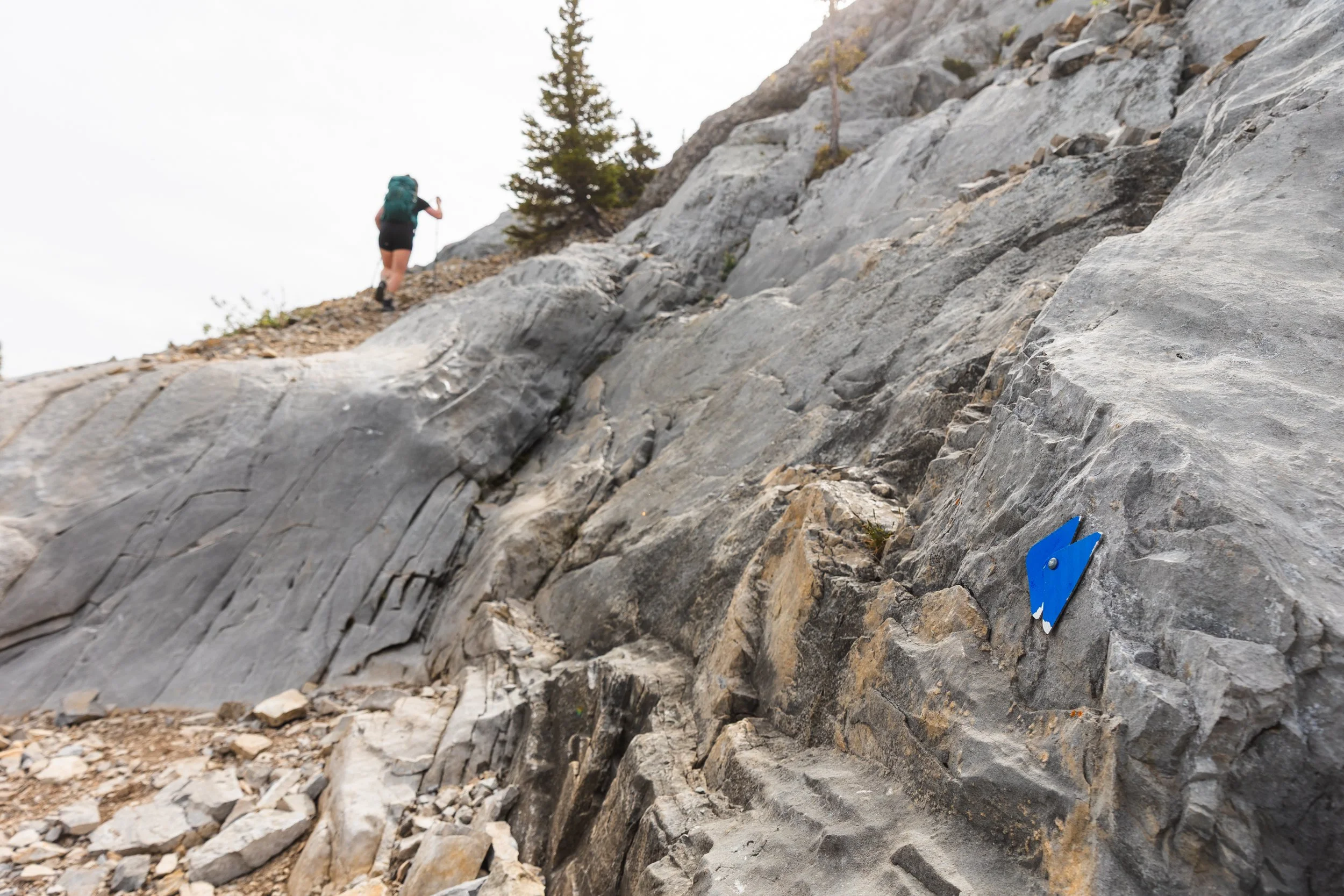 heart mountain scramble